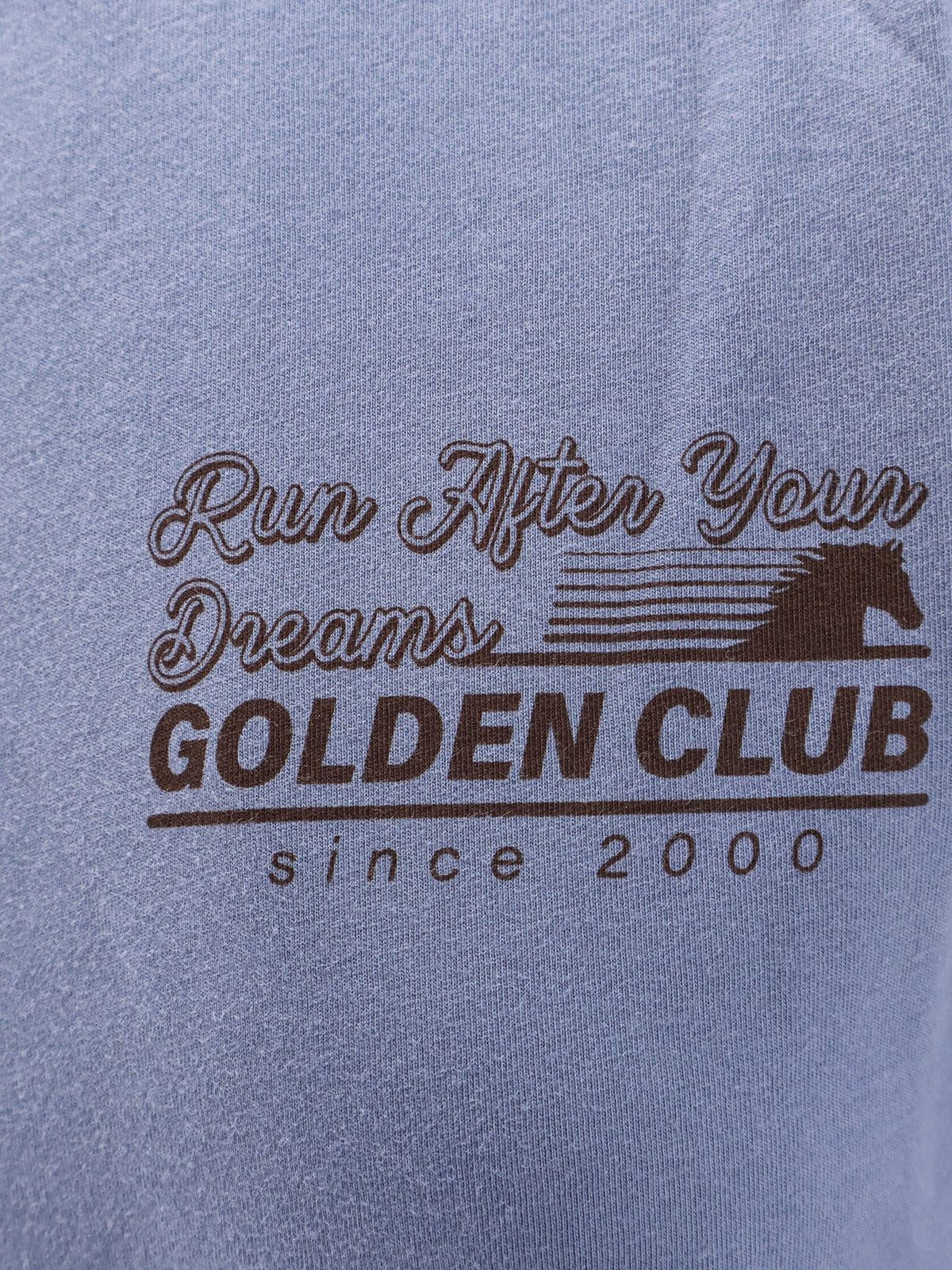Golden Goose Deluxe Brand Cotton T-shirt - China Blue