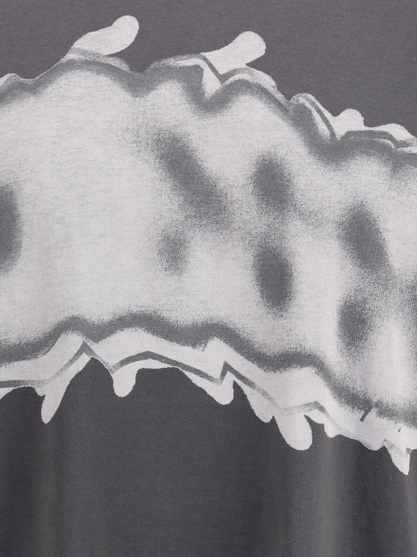 DIESEL Leonard T-shirt