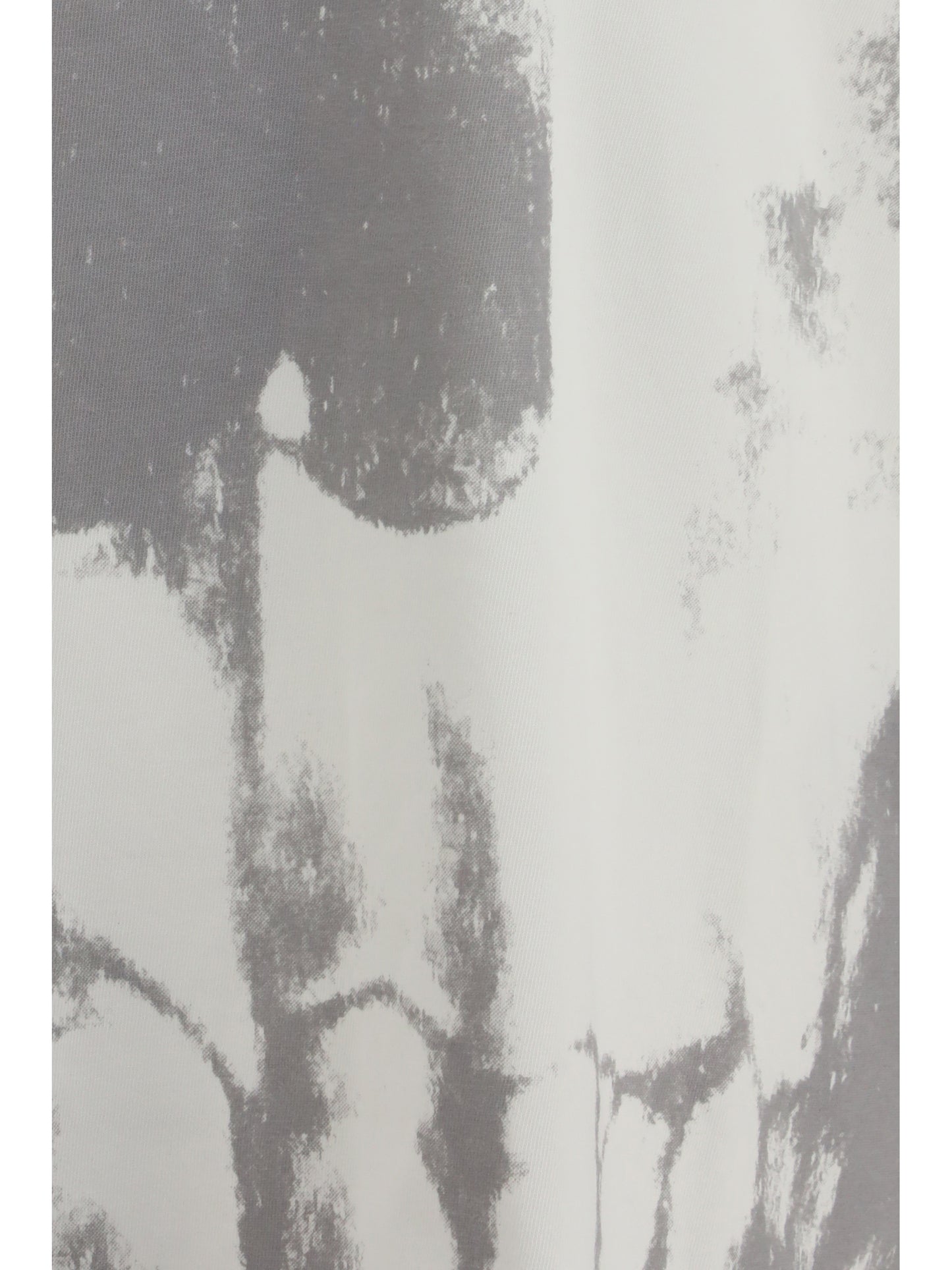 ALEXANDER McQUEEN Skull-print T-shirt