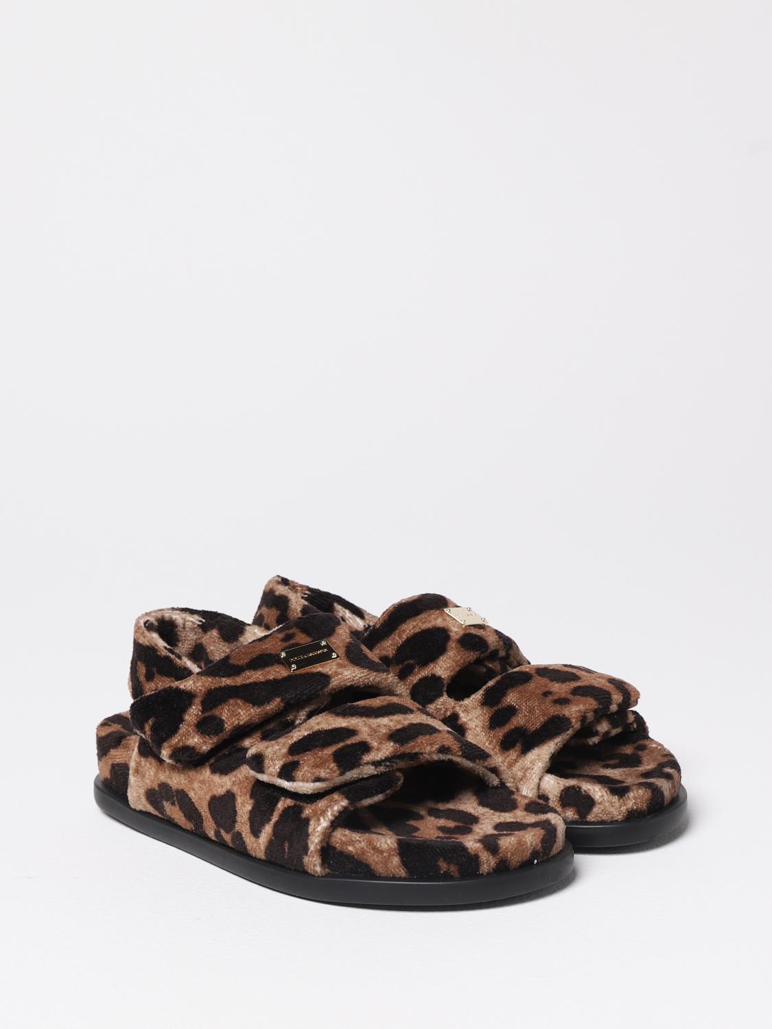 Dolce & Gabbana Shoes Kids Multicolor
