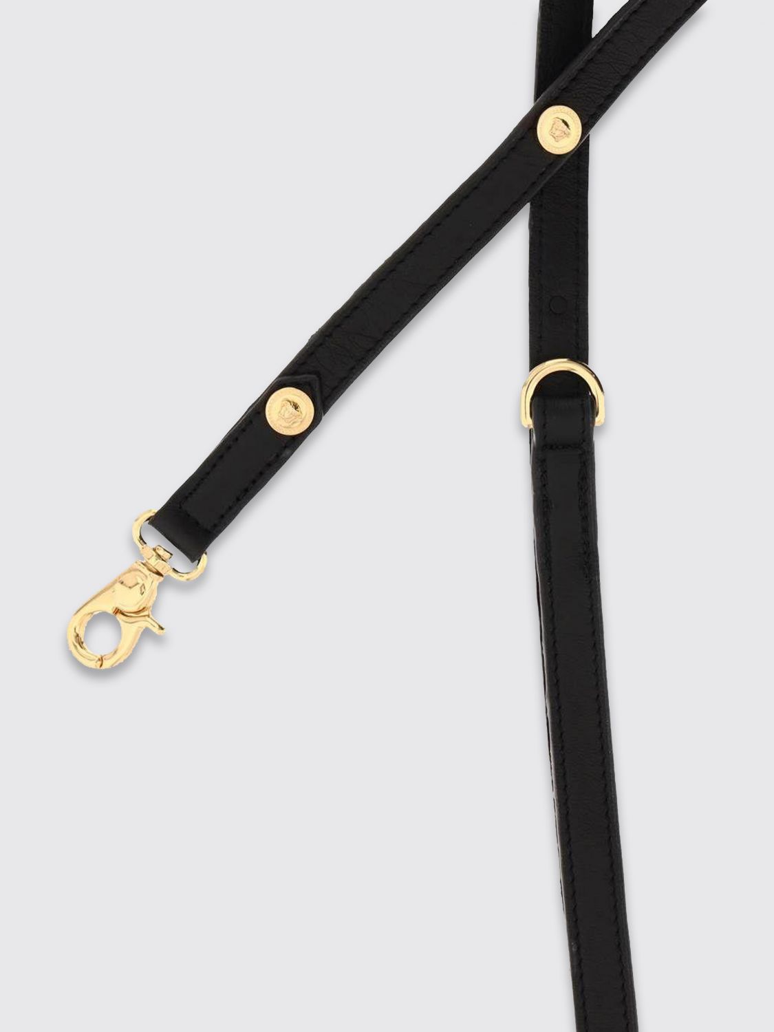 Versace Pet Accessories Lifestyle Black