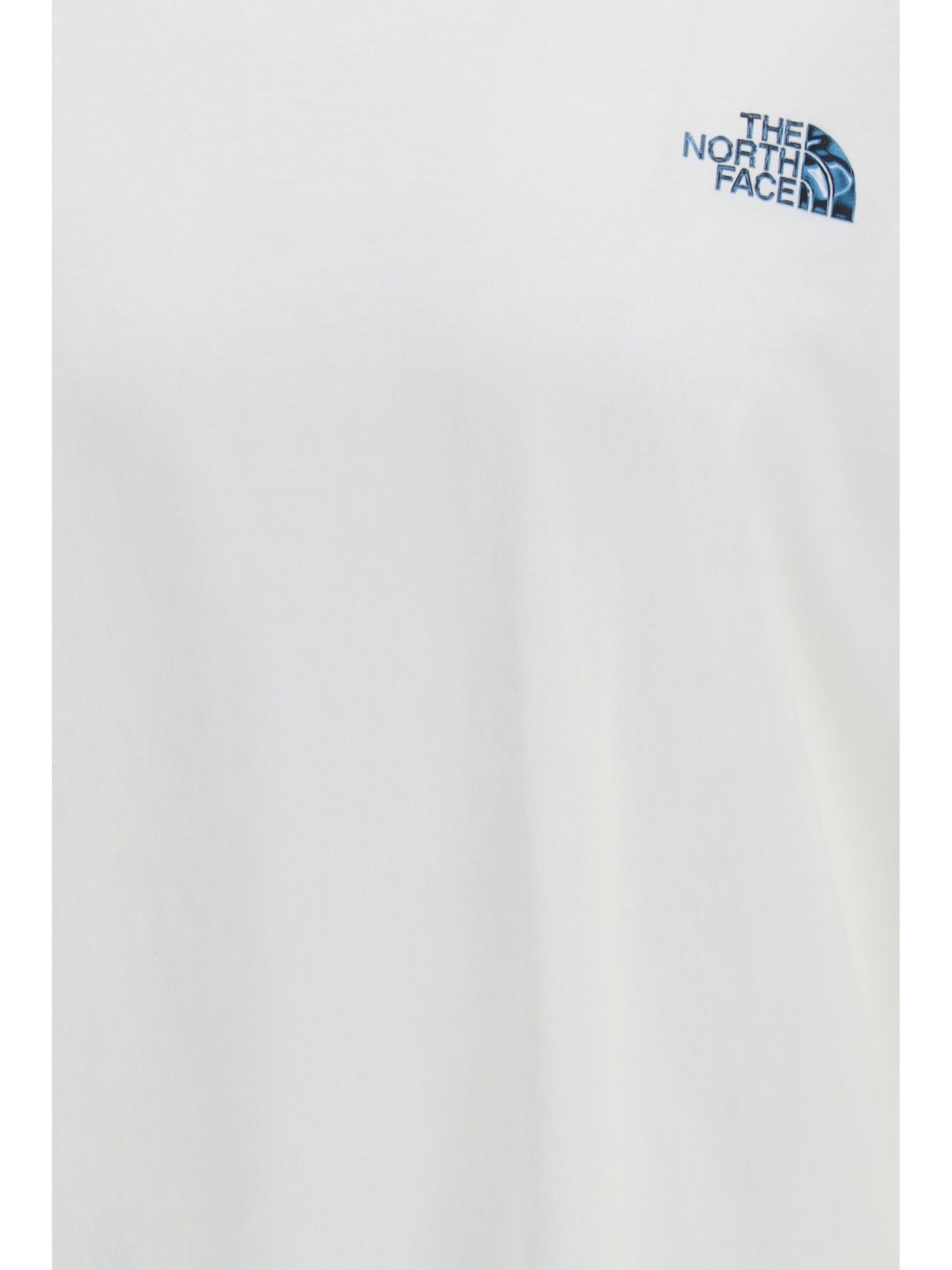 THE NORTH FACE Liquid NSE Box Oversized Graphic T-shirt