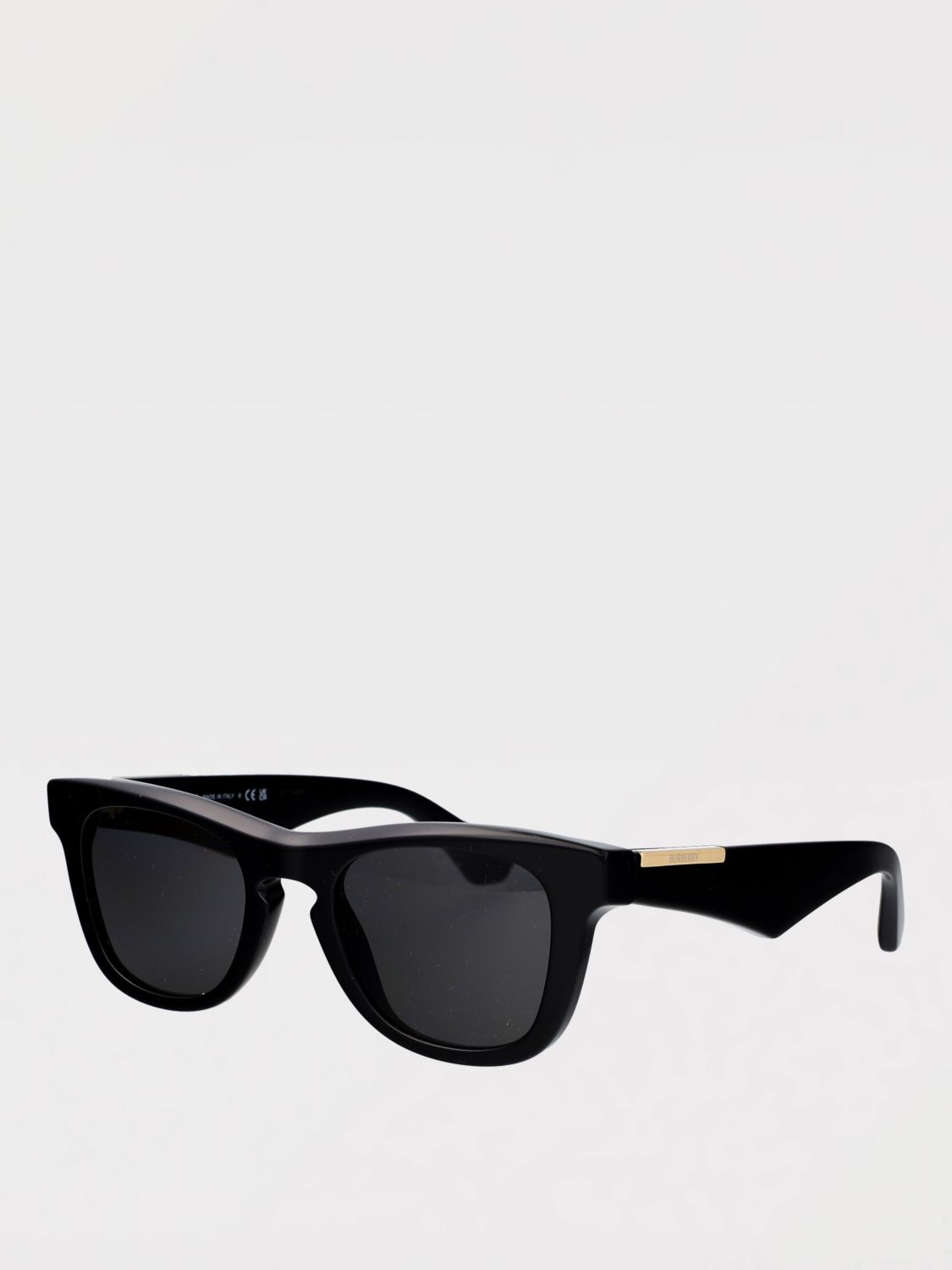 Burberry Sunglasses Men Beige