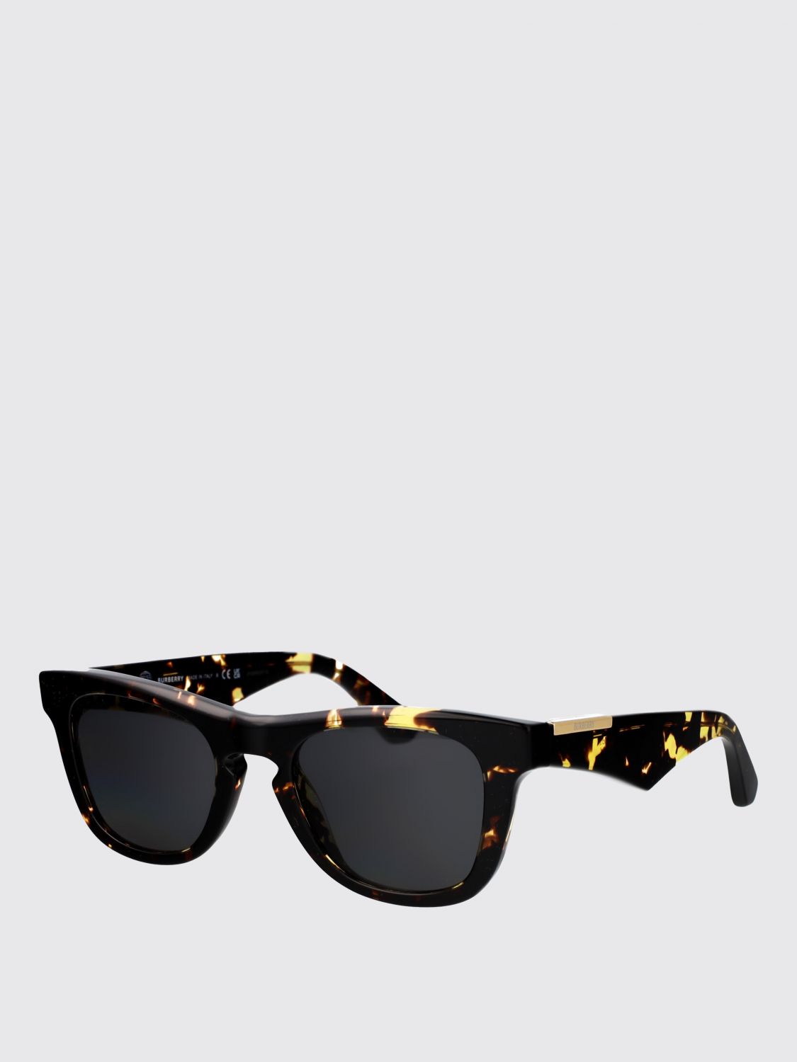 Burberry Sunglasses Men Beige