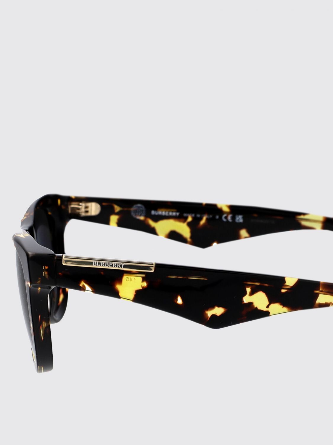Burberry Sunglasses Men Beige