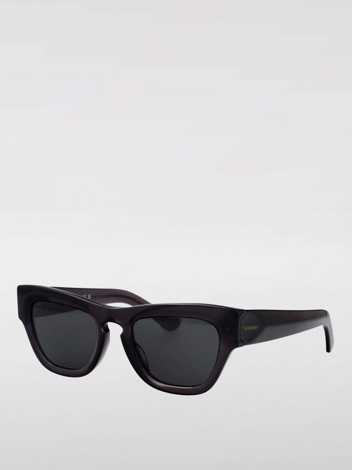 Burberry Sunglasses Woman Brown