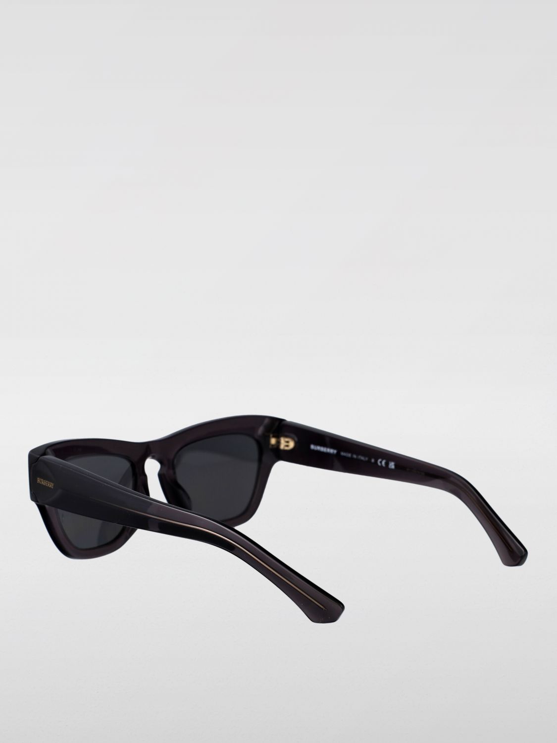 Burberry Sunglasses Woman Brown