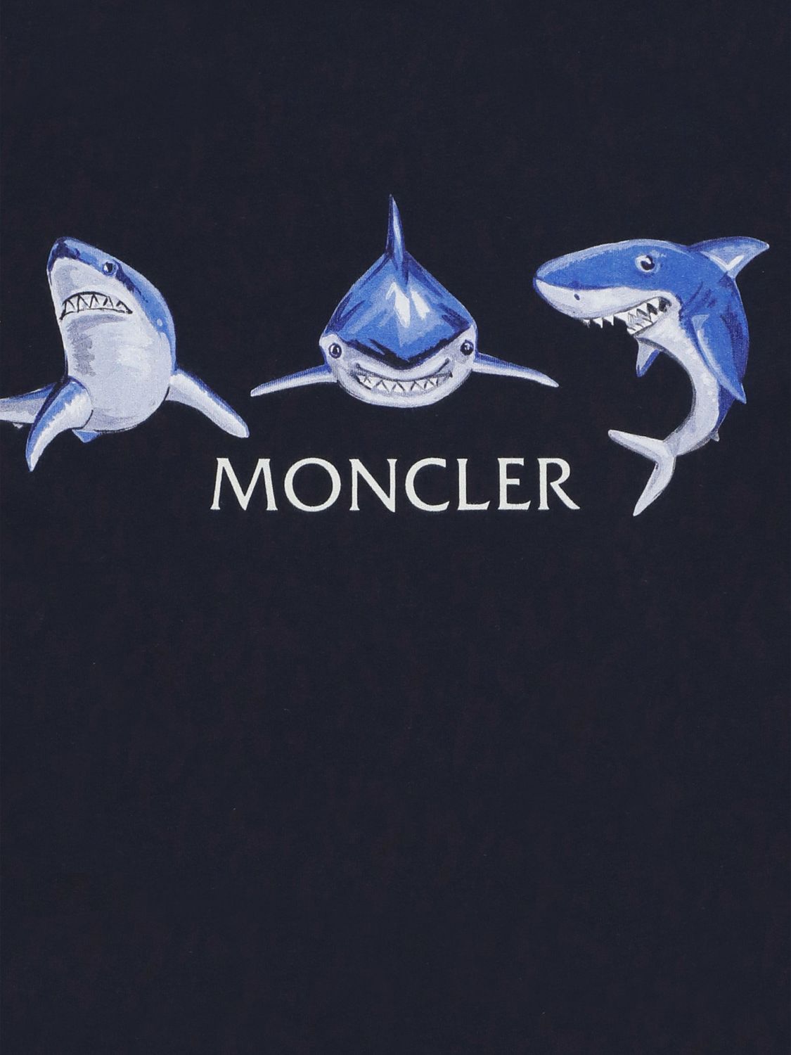 Moncler Clothing Set Kids Blue