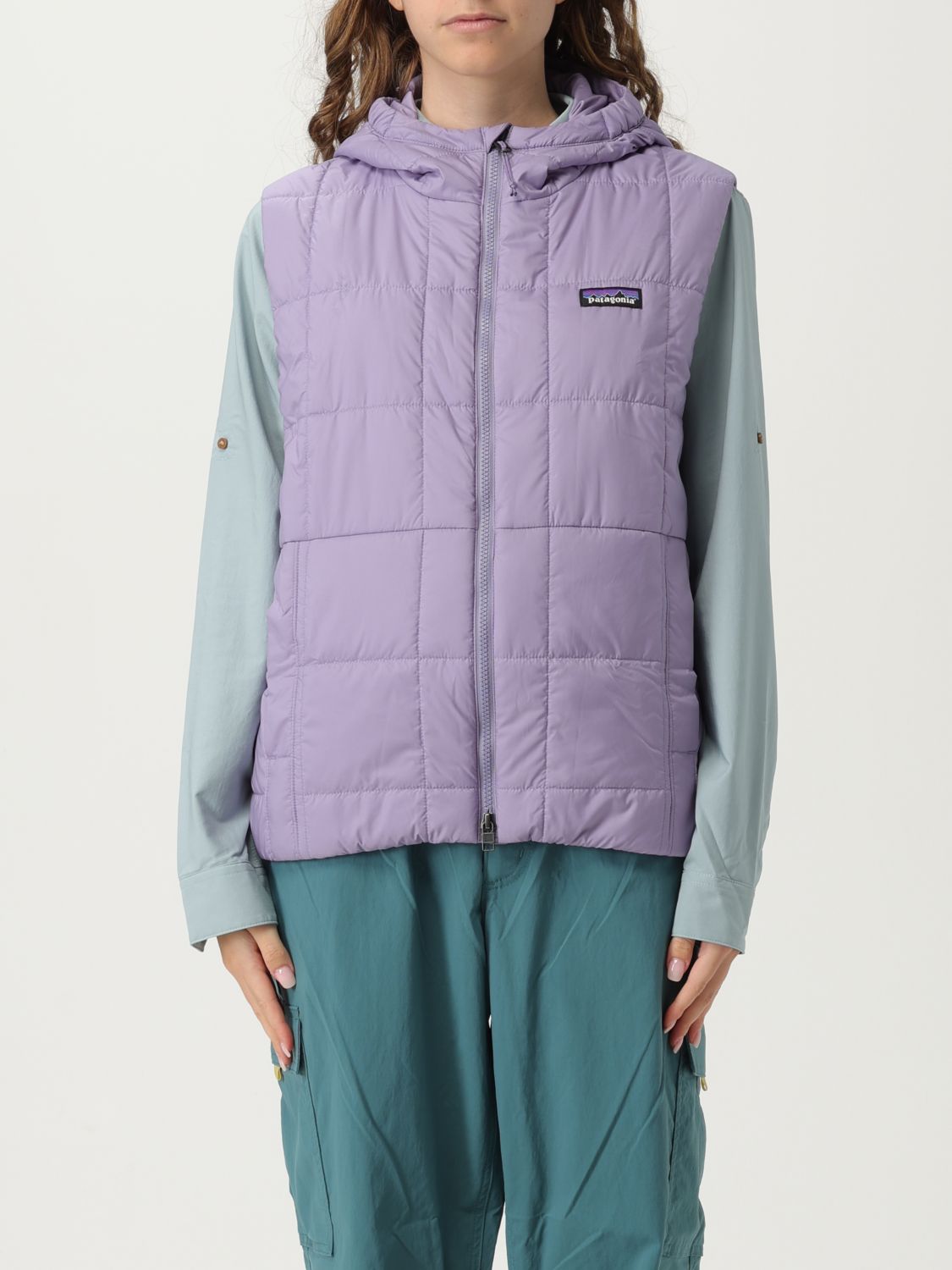 アウターその他 PATAGONIA Woman Waistcoat Lilac 20580 CNPL Patagonia Jacket Woman Lilac – Modishus