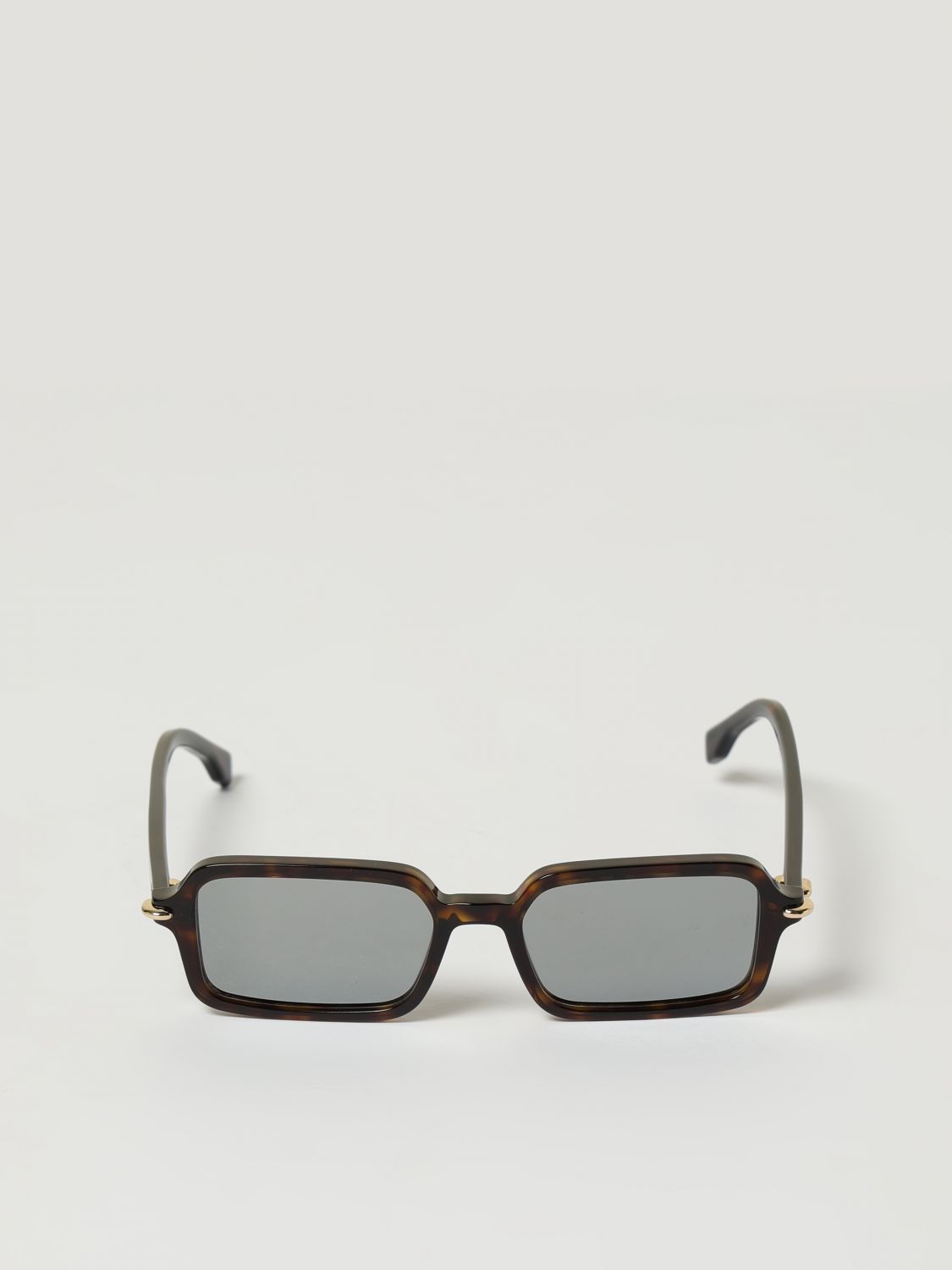Fendi Sunglasses Woman Brown