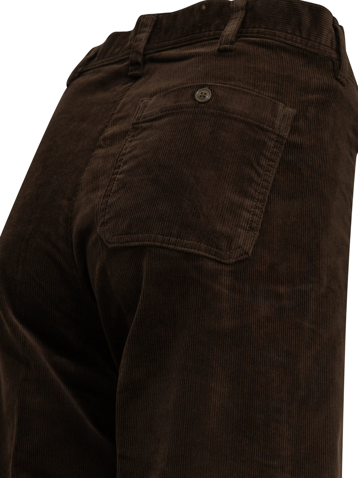 Polo Ralph Lauren "Beaton" Casual Pants - Brown