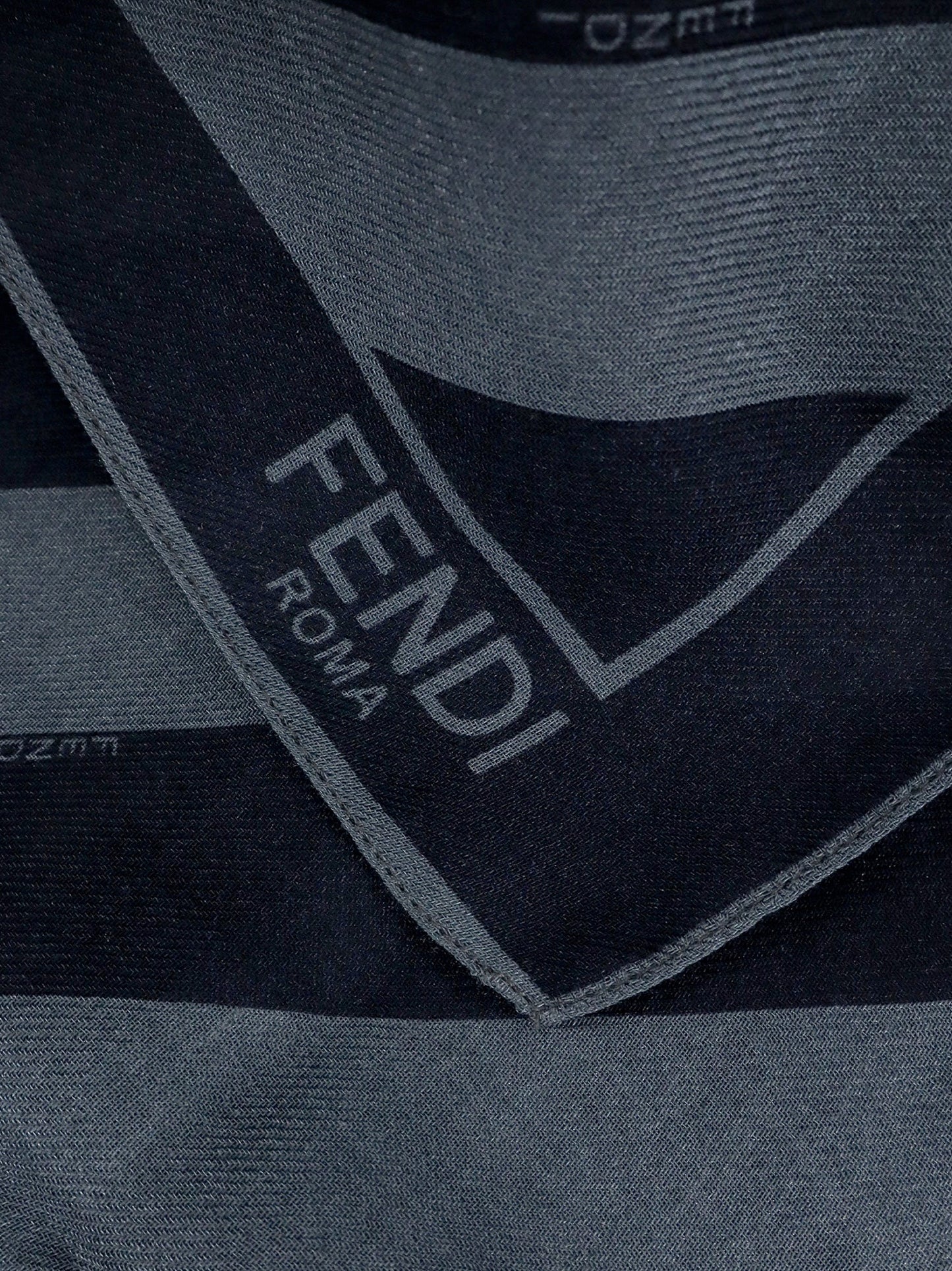 Fendi Shawl