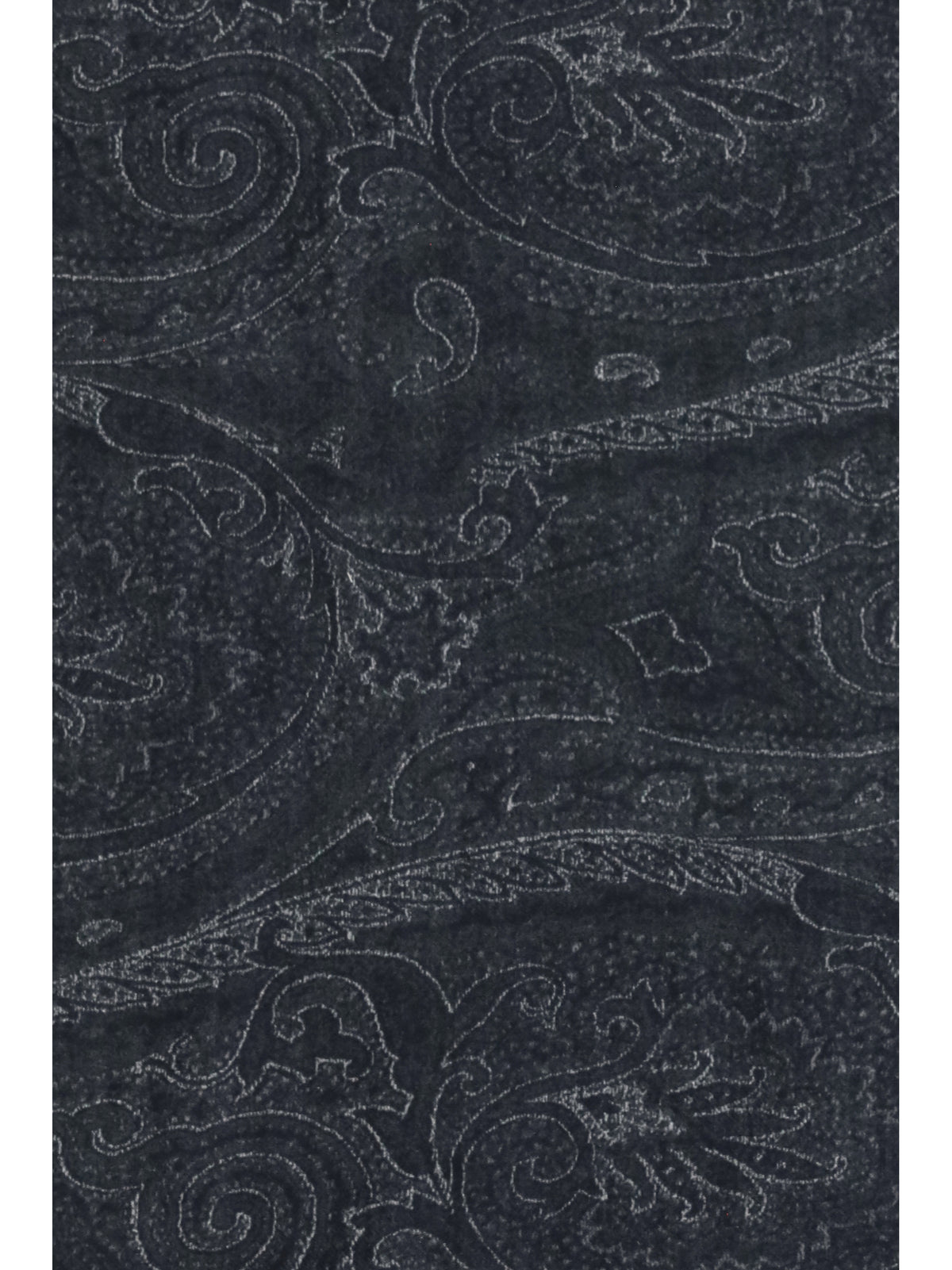 Etro Paisley Scarf - Printed F.Do Black