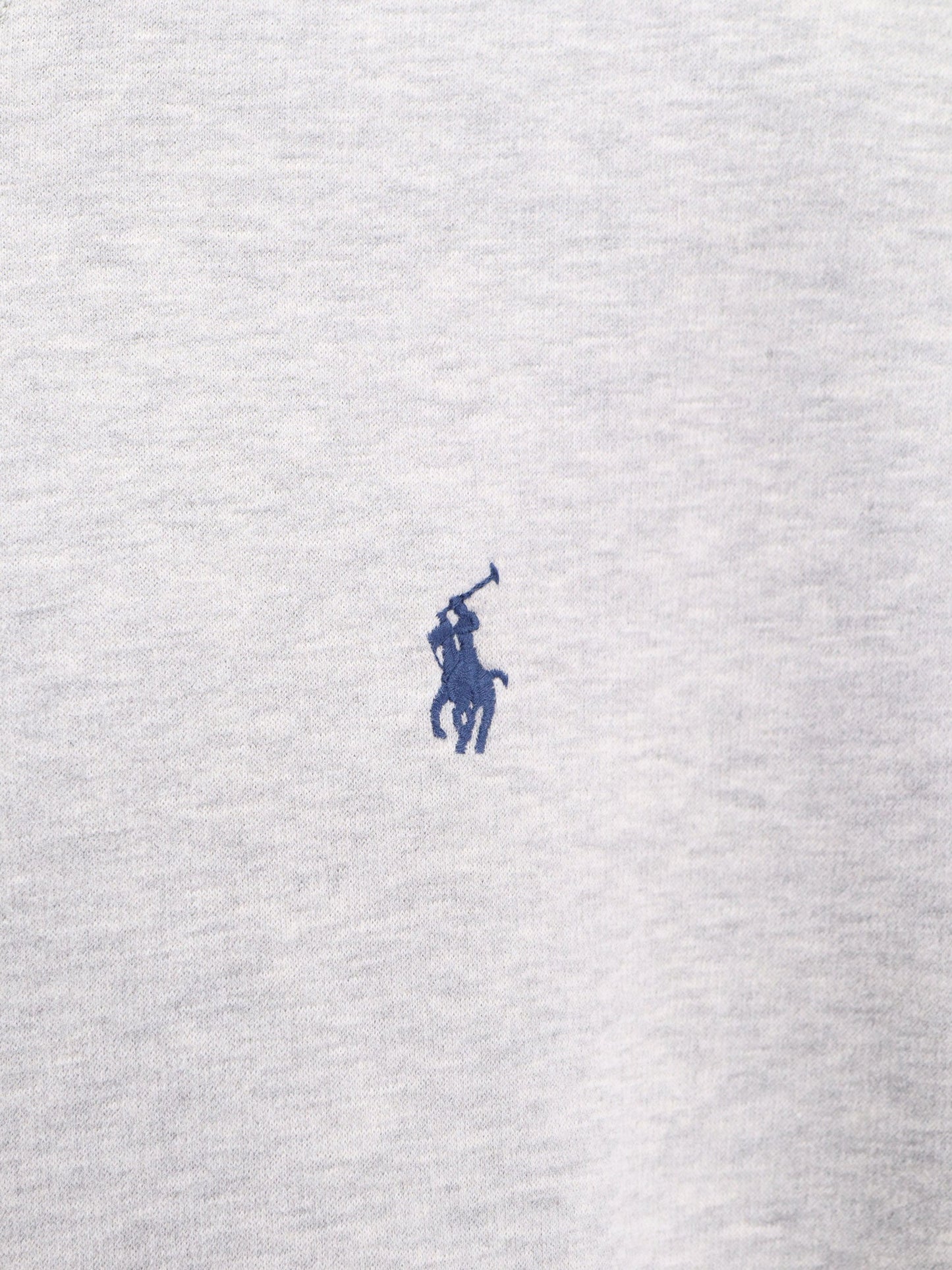 Polo Ralph Lauren Hooded Sweatshirt With Logo Embroidery