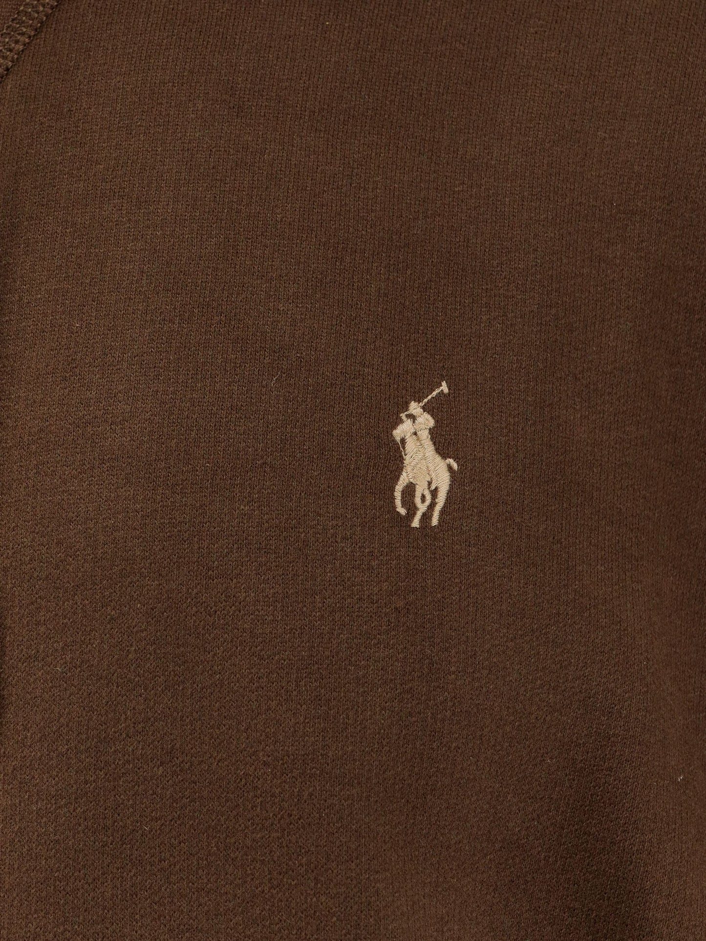 Polo Ralph Lauren Hooded Sweatshirt With Logo Embroidery