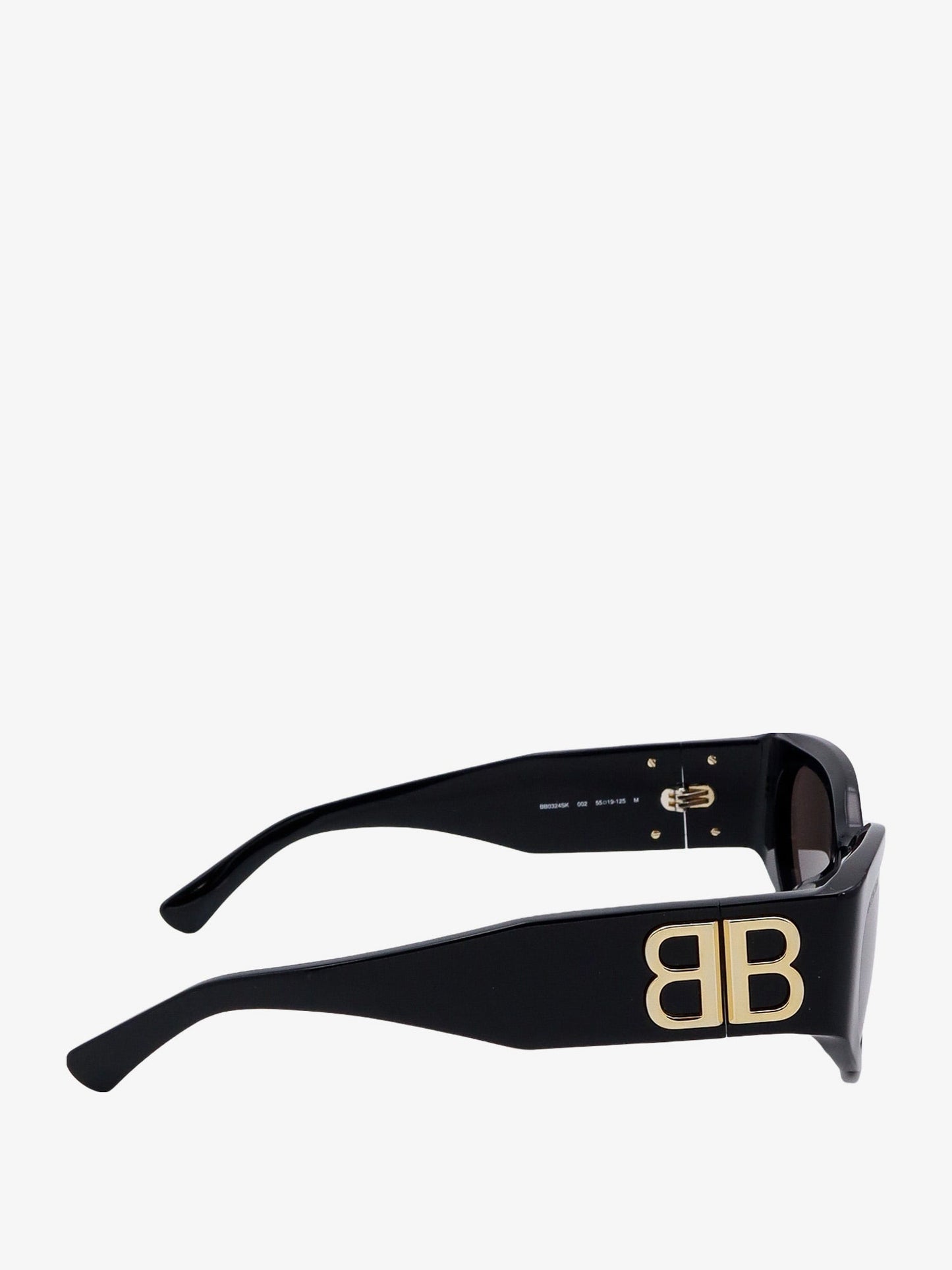 Balenciaga Acetate Sunglasses