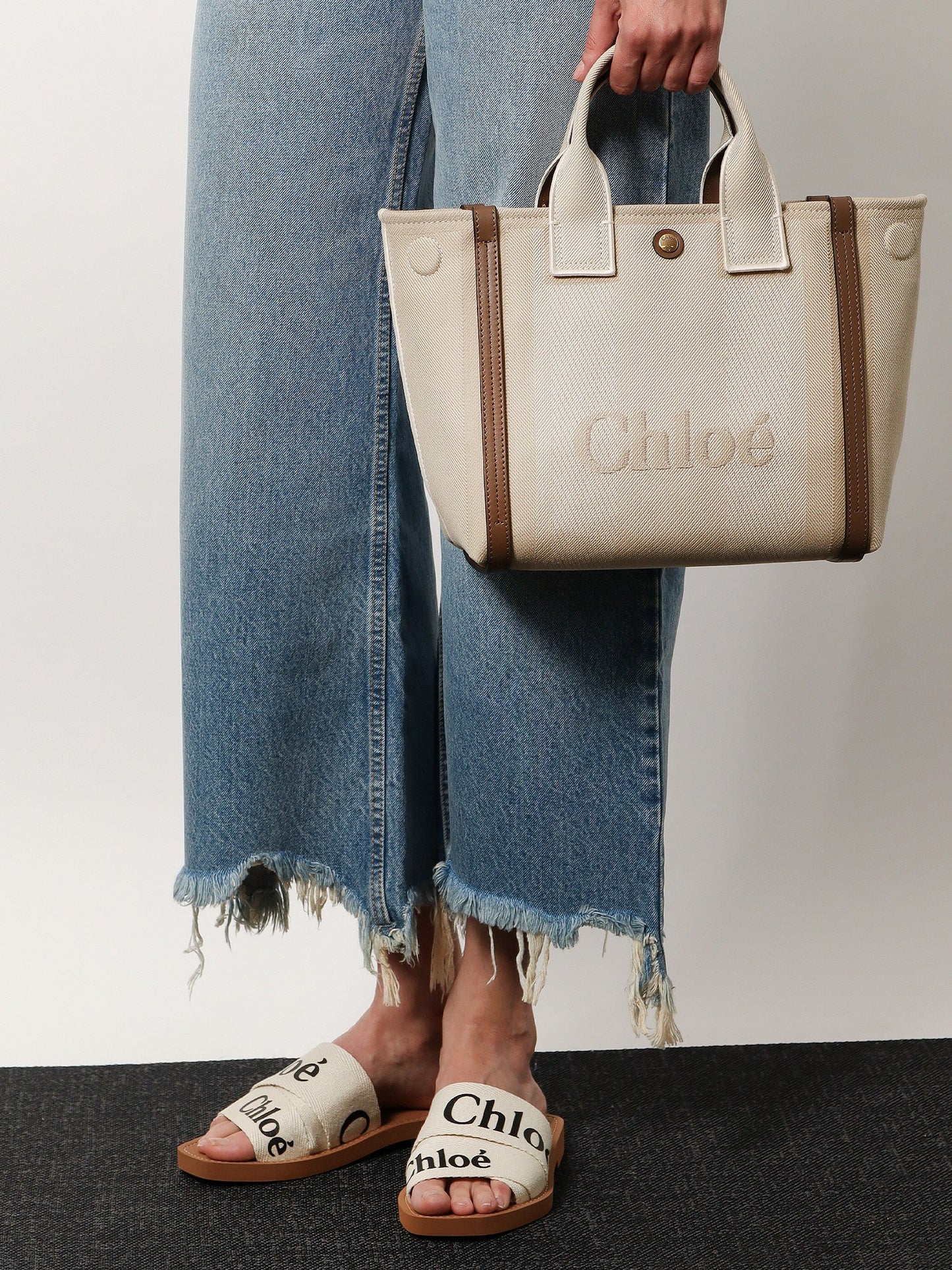 Chloe' Chloé Carry Canvas Crossbody Bag