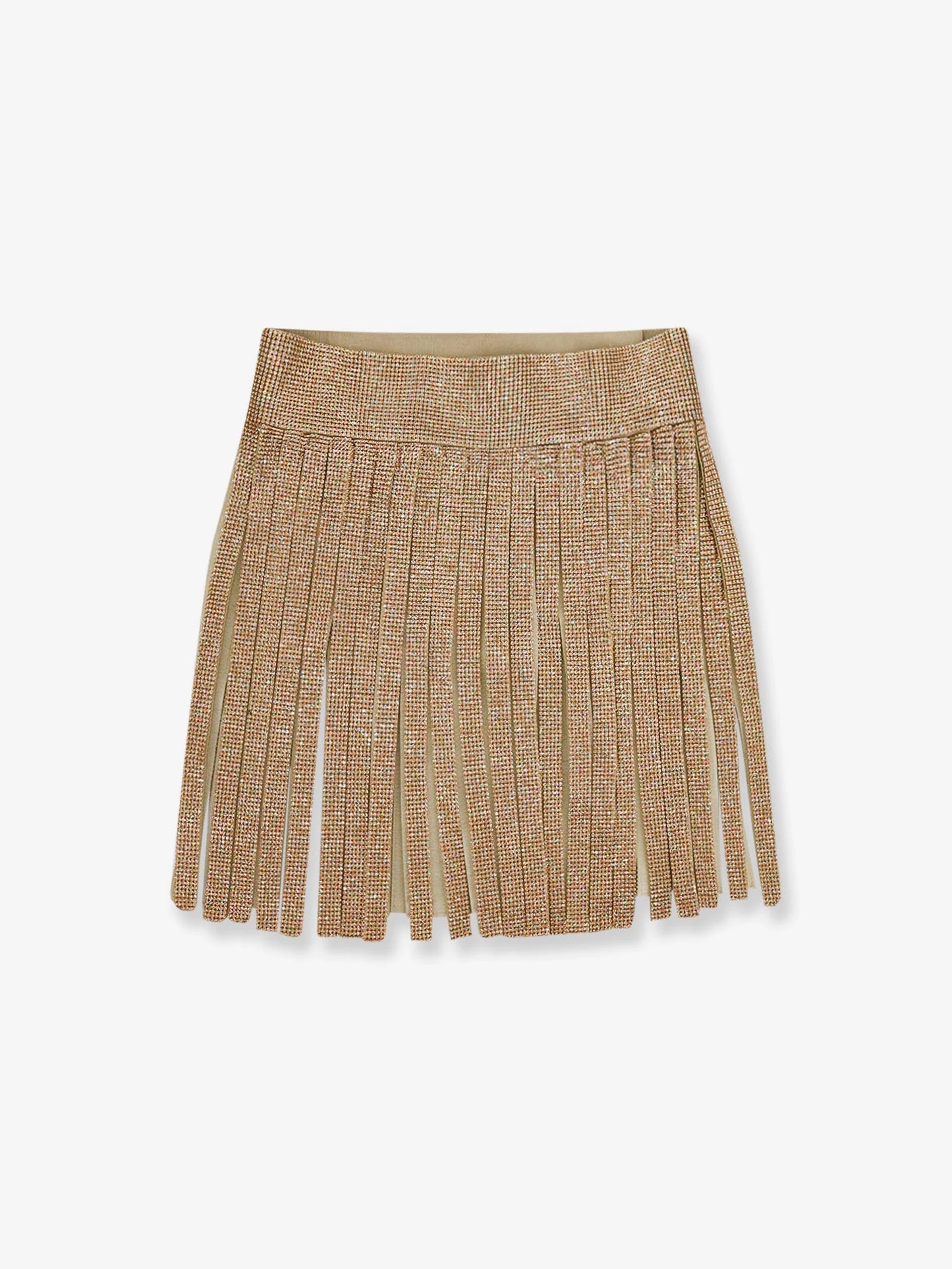 Dolce & Gabbana Skirt With Crystals