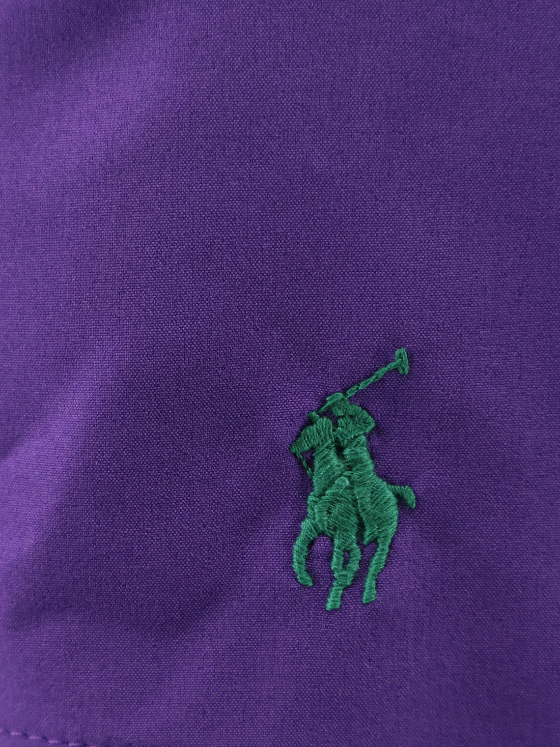 Polo Ralph Lauren Nylon Swim Trunks With Embroidered Logo