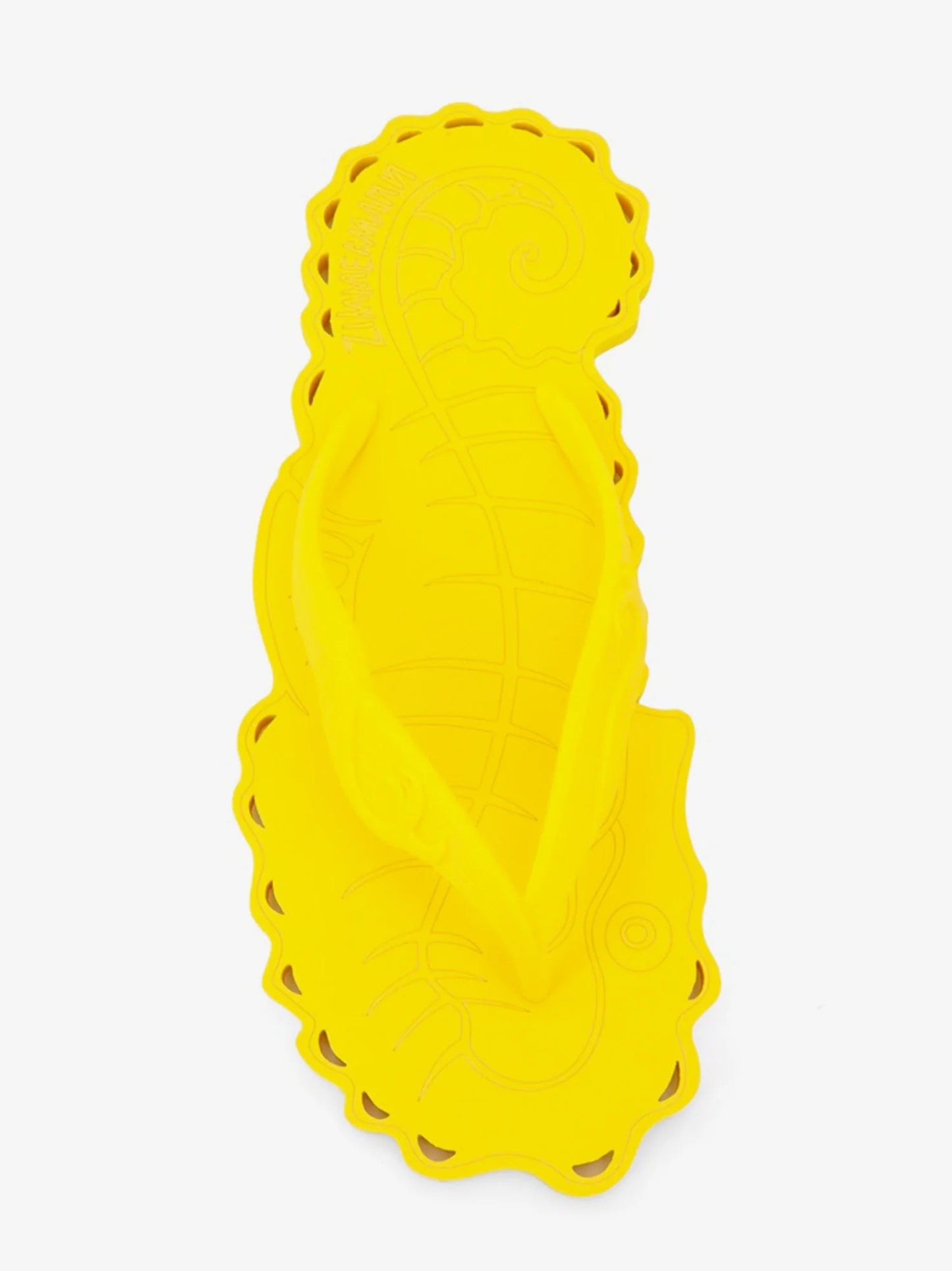 ZIMMERMANN - Seafoam Thong rubber sandals
