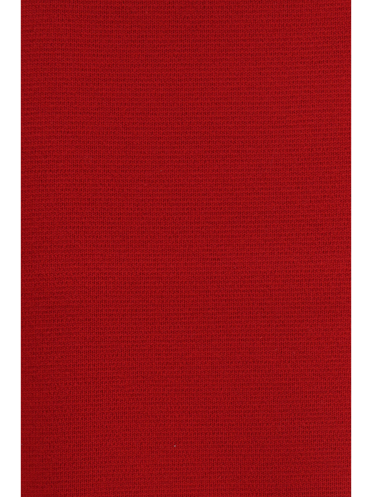 Fabiana Filippi Wool Skirt - Red
