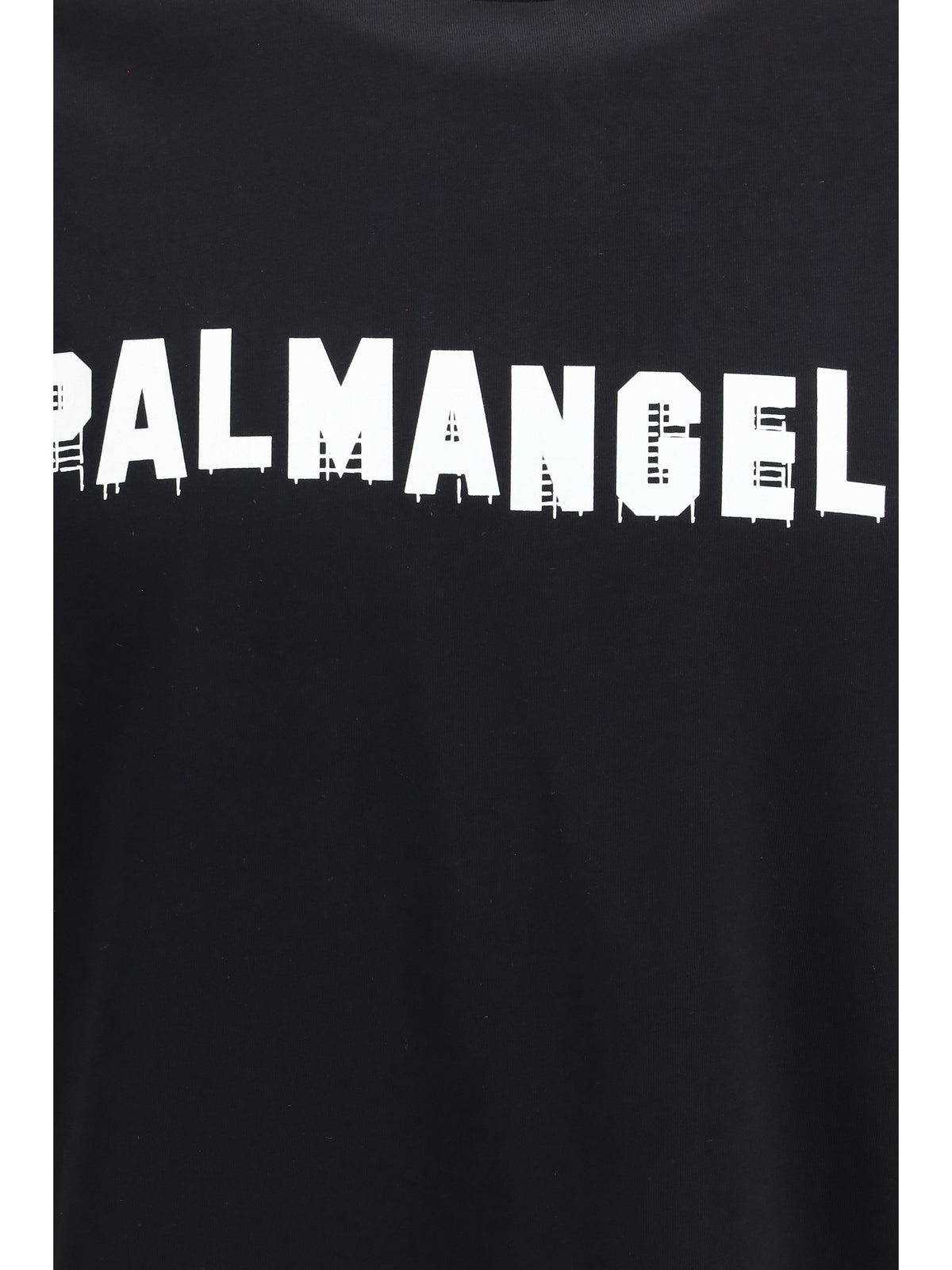 Palm Angels Palm Hills T-shirt - Black - Off White