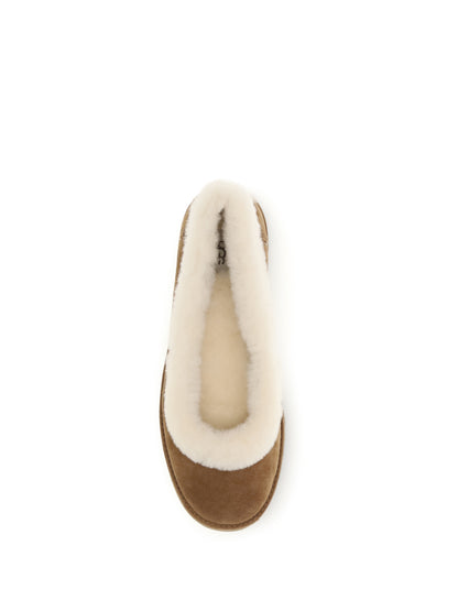 Ugg Zora suede Ballerinas - Chestnut