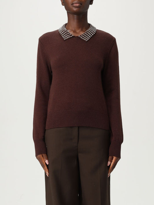 Pinko Sweater Woman Brown