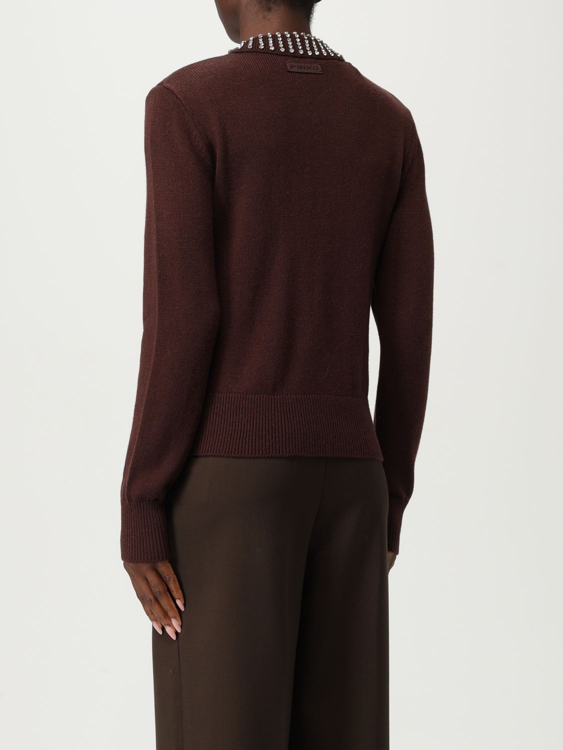 Pinko Sweater Woman Brown