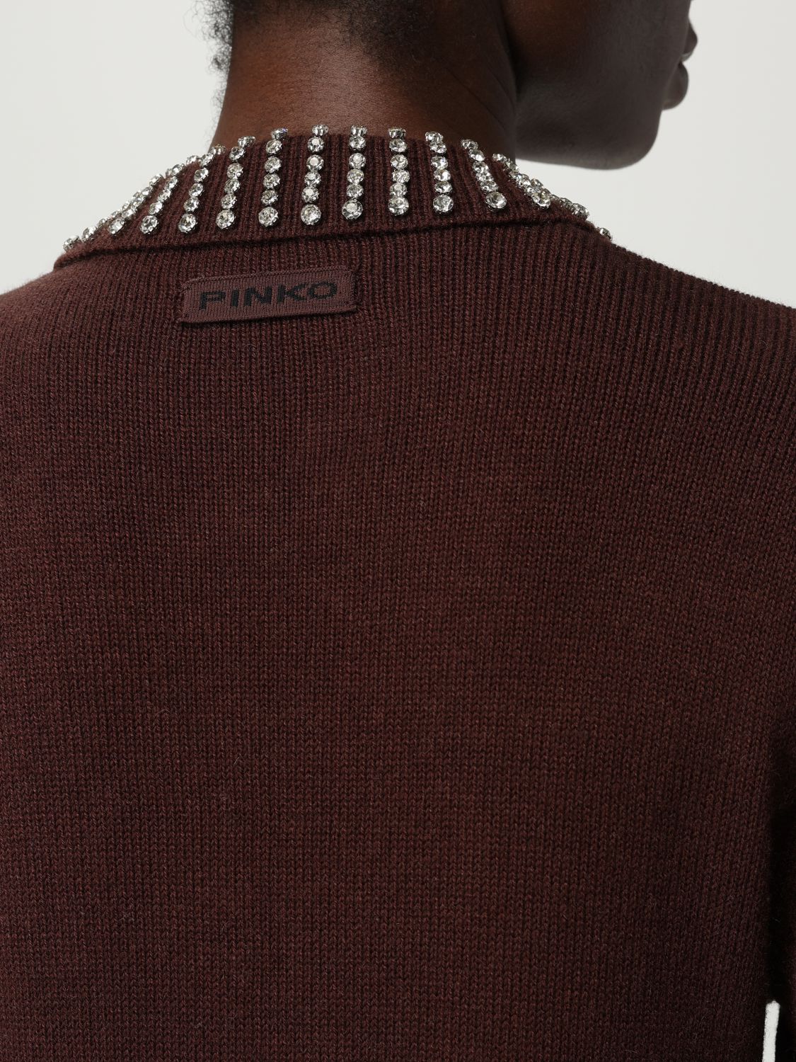 Pinko Sweater Woman Brown