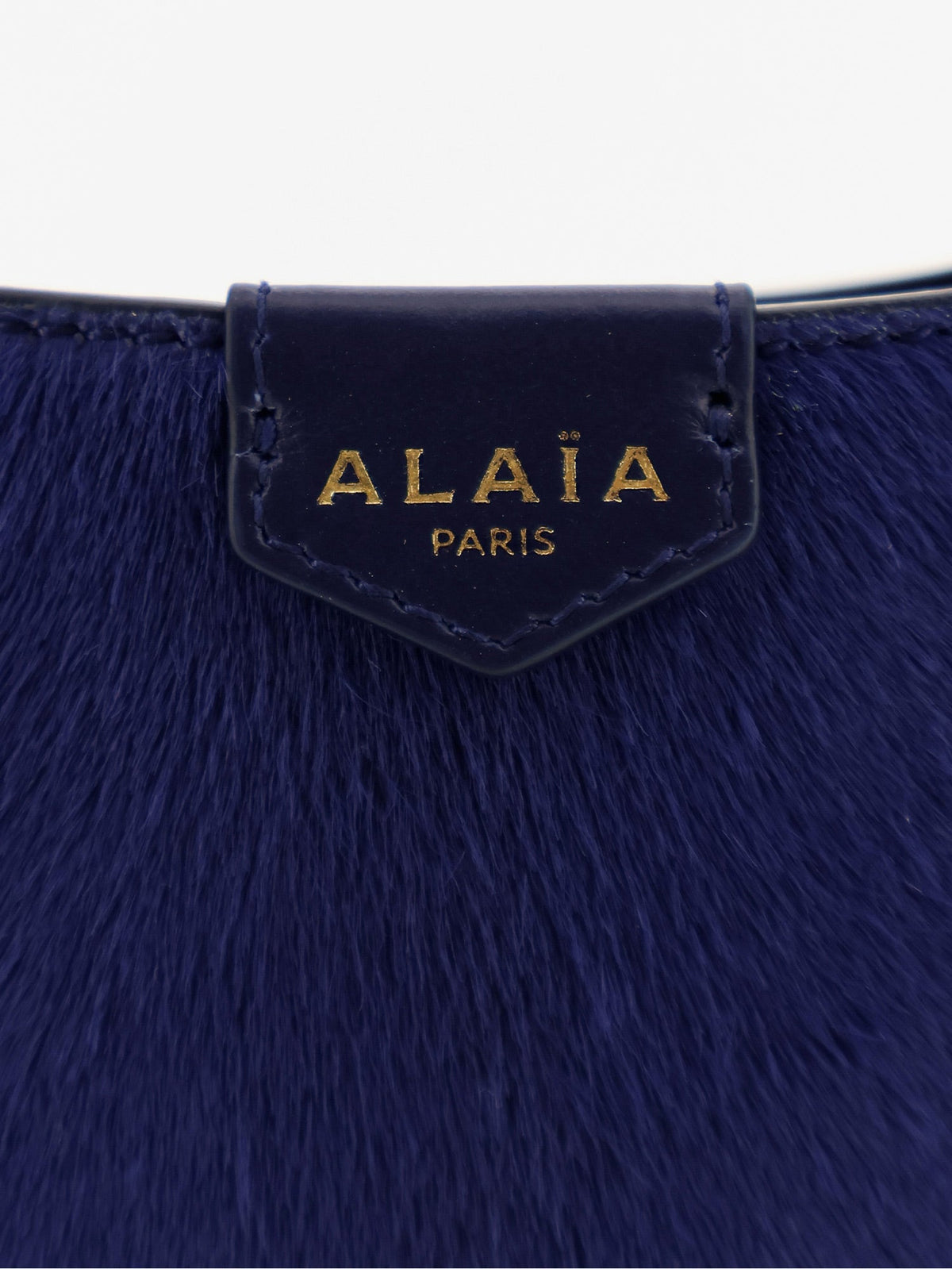Alaia Ponyskin Hobo handbag - Bleunuit