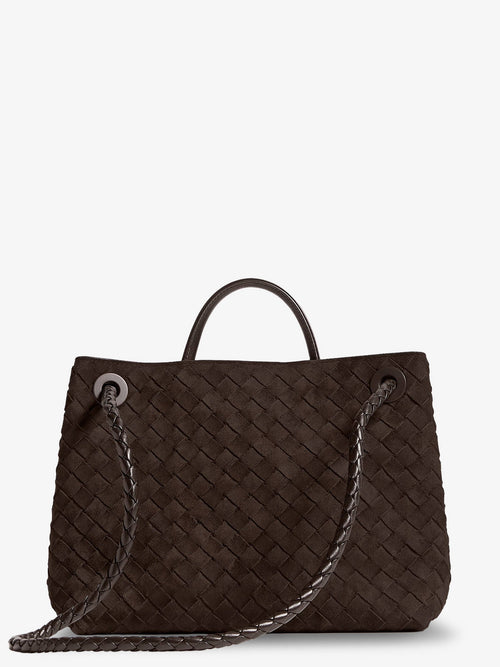 Bottega Veneta Andiamo Medium Suede Handbag - Fondant