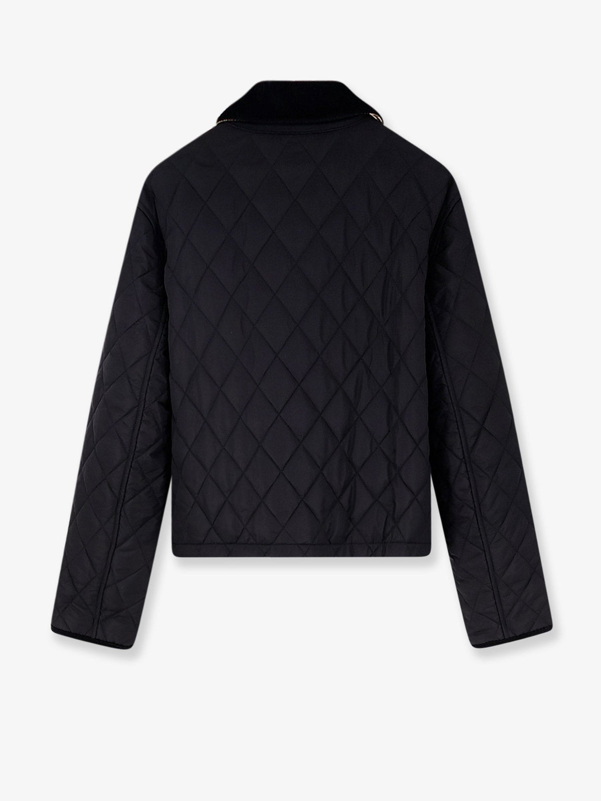 Burberry Nylon jacket with stitching - Black/Sand Ip Check