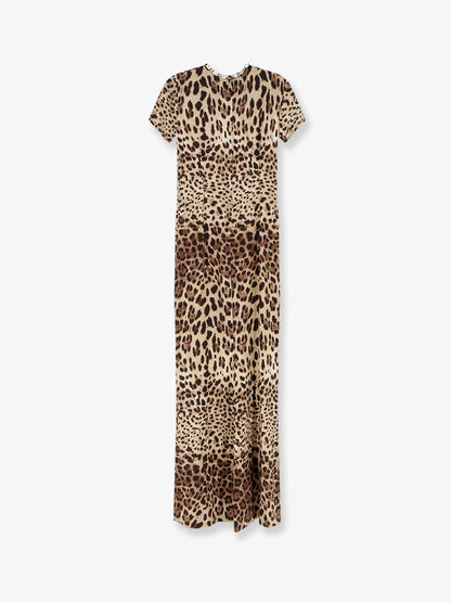 Dolce & Gabbana Silk Dress With Animal Print