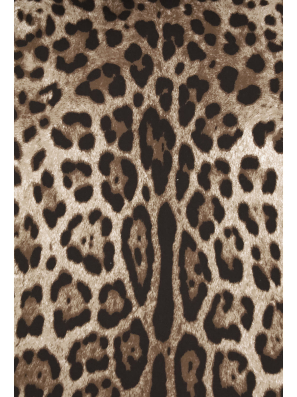 Dolce & Gabbana Large Duchesse cotton Cushion - Leopardo