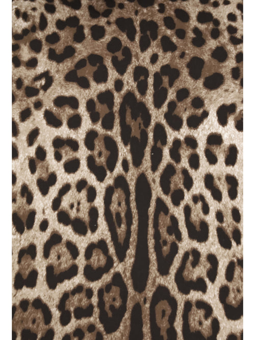 Dolce & Gabbana Large Duchesse cotton Cushion - Leopardo