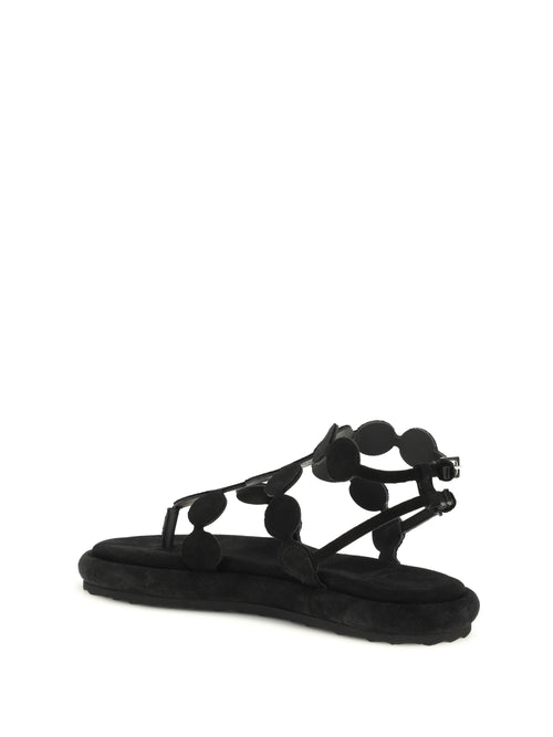 Pierre Hardy Suede Sandals - Suede Calf Black