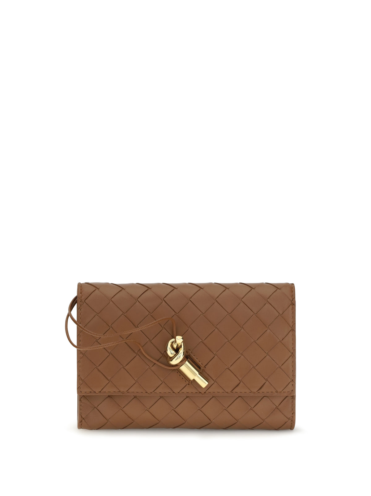 Bottega Veneta Andiamo Clutch Bag - Tannin-Muse Brass
