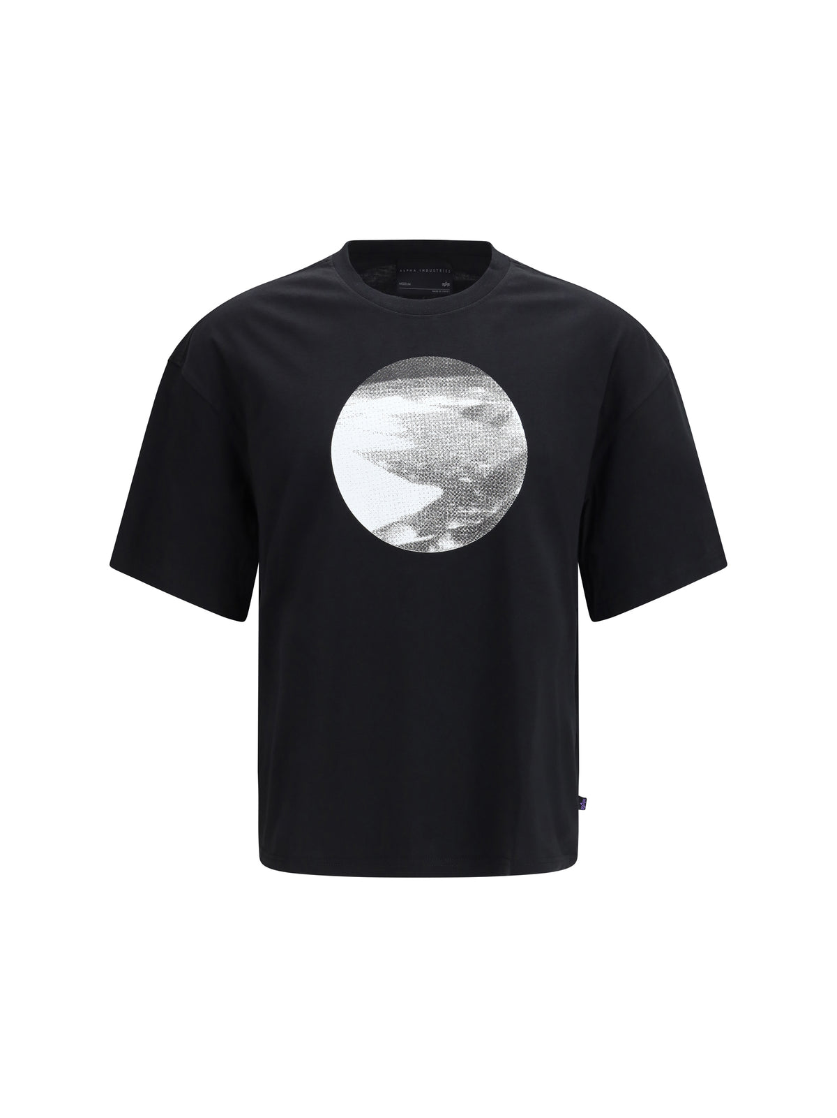Alpha Industries Desert T-shirt with print - Black