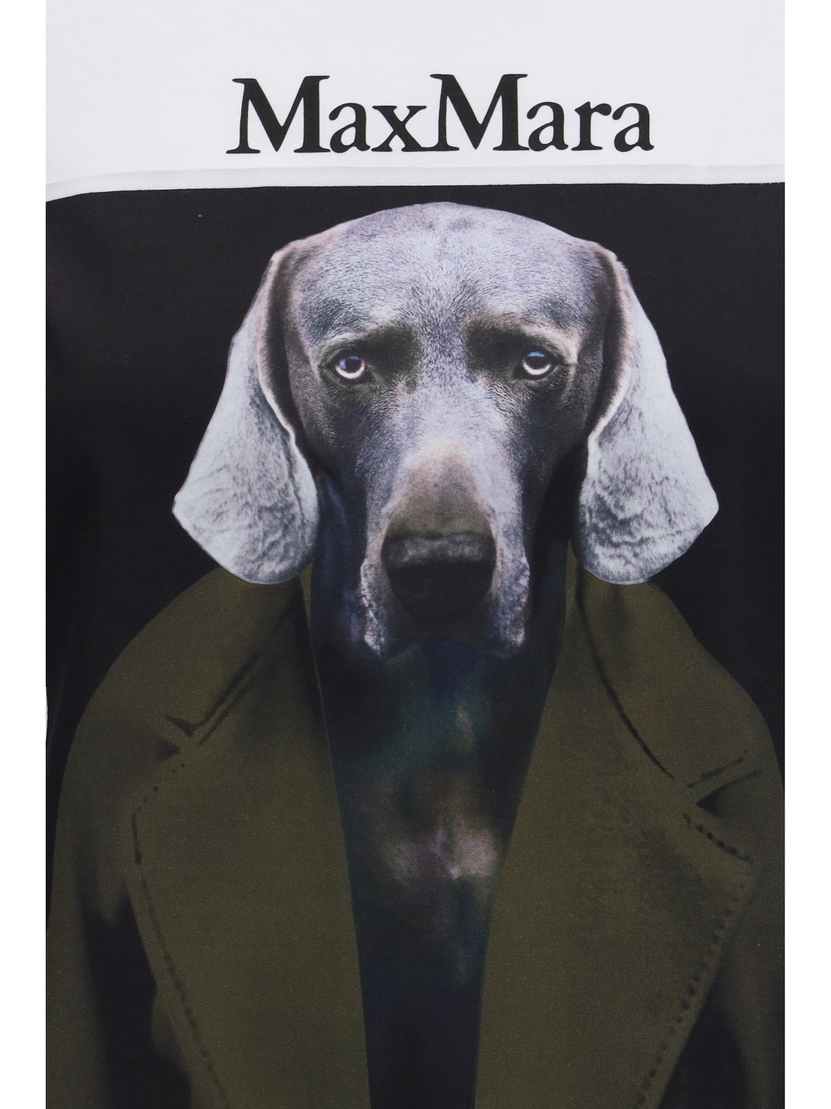 Max Mara Calca graphic print T-shirt - Fondo White Wegman Cappotto Khaki Dark