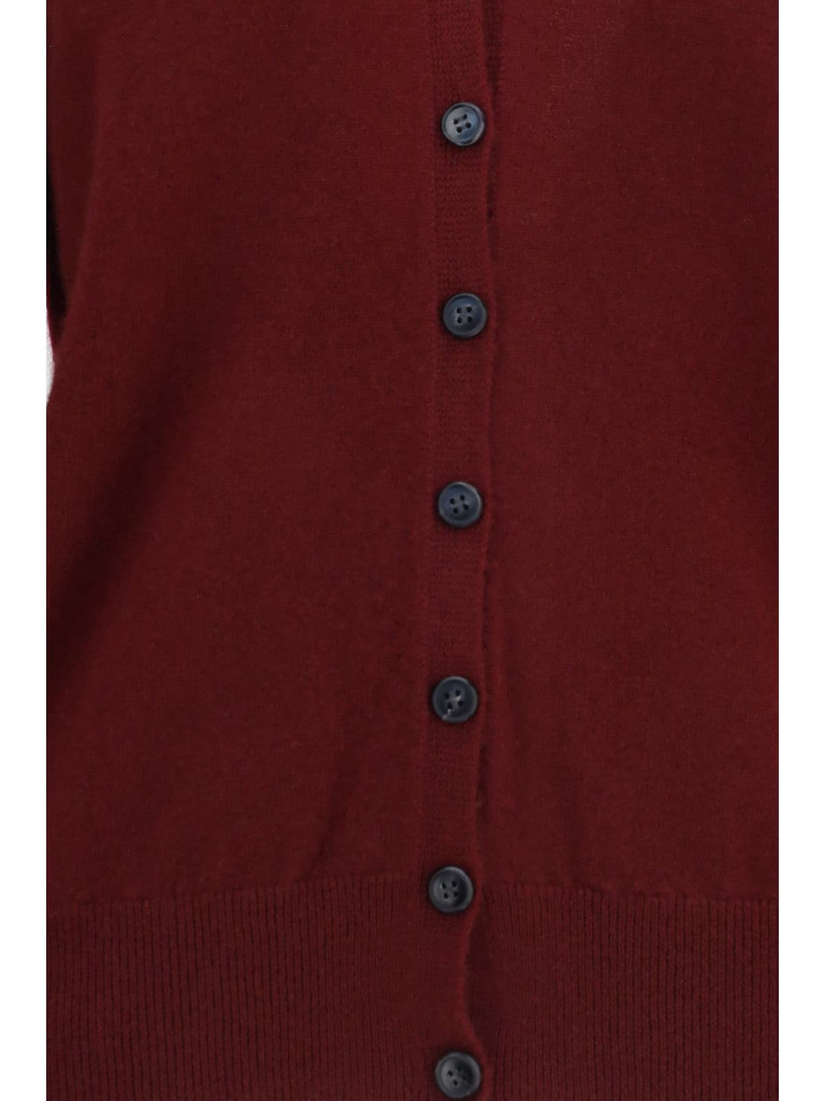 Lisa Yang Jiani cashmere Cardigan - Deep Plum
