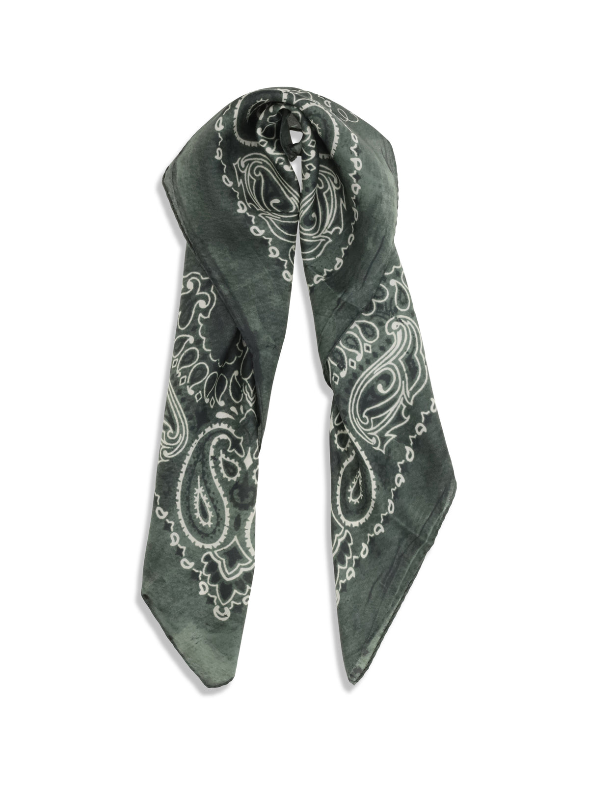 Golden Goose Golden paisley printed silk Scarf - Moss Green