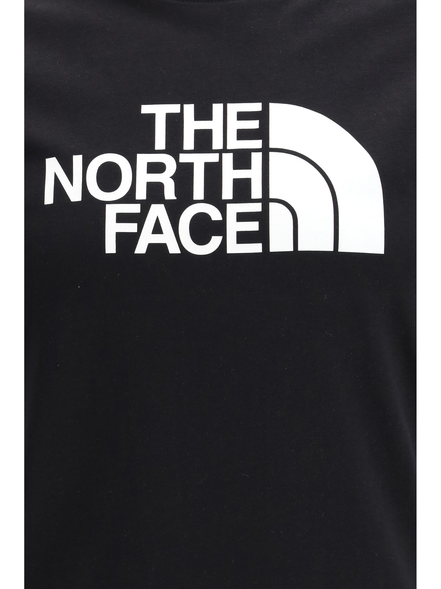 THE NORTH FACE Easy T-shirt