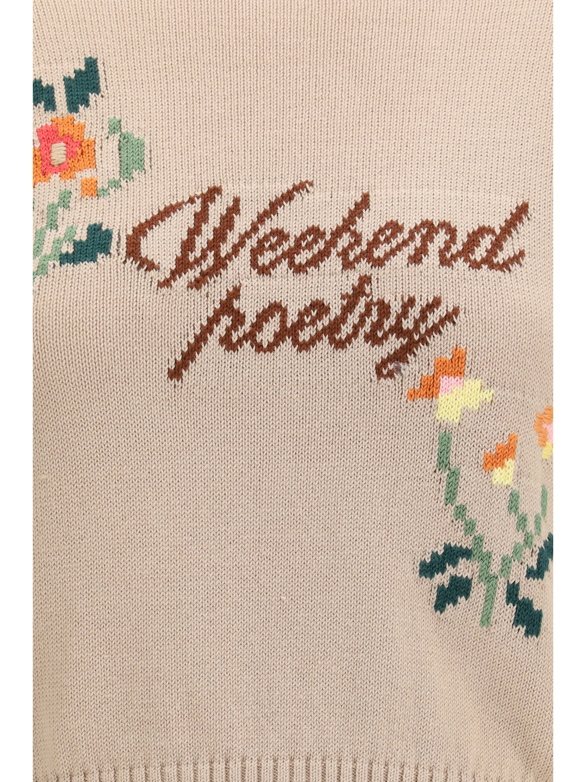 Weekend Max Mara Cotton knit Sweater with embroidery - Multi
