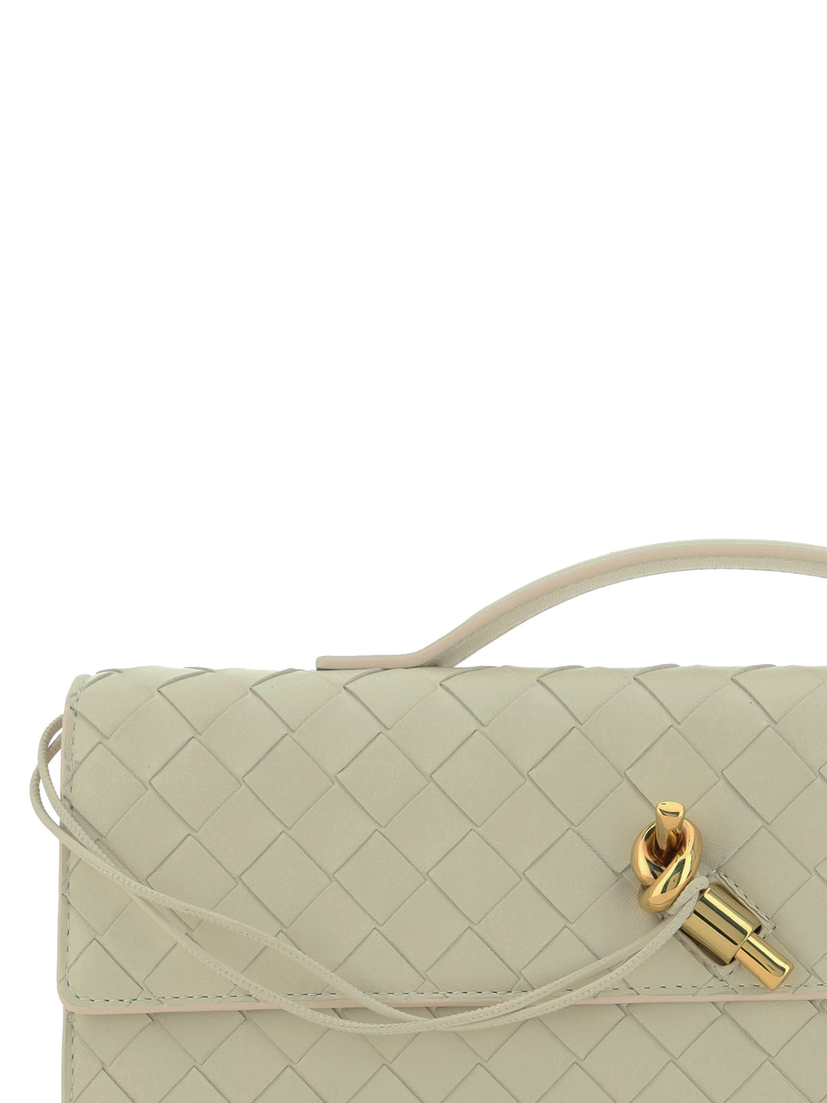 Bottega Veneta Andiamo Handbag - 9195