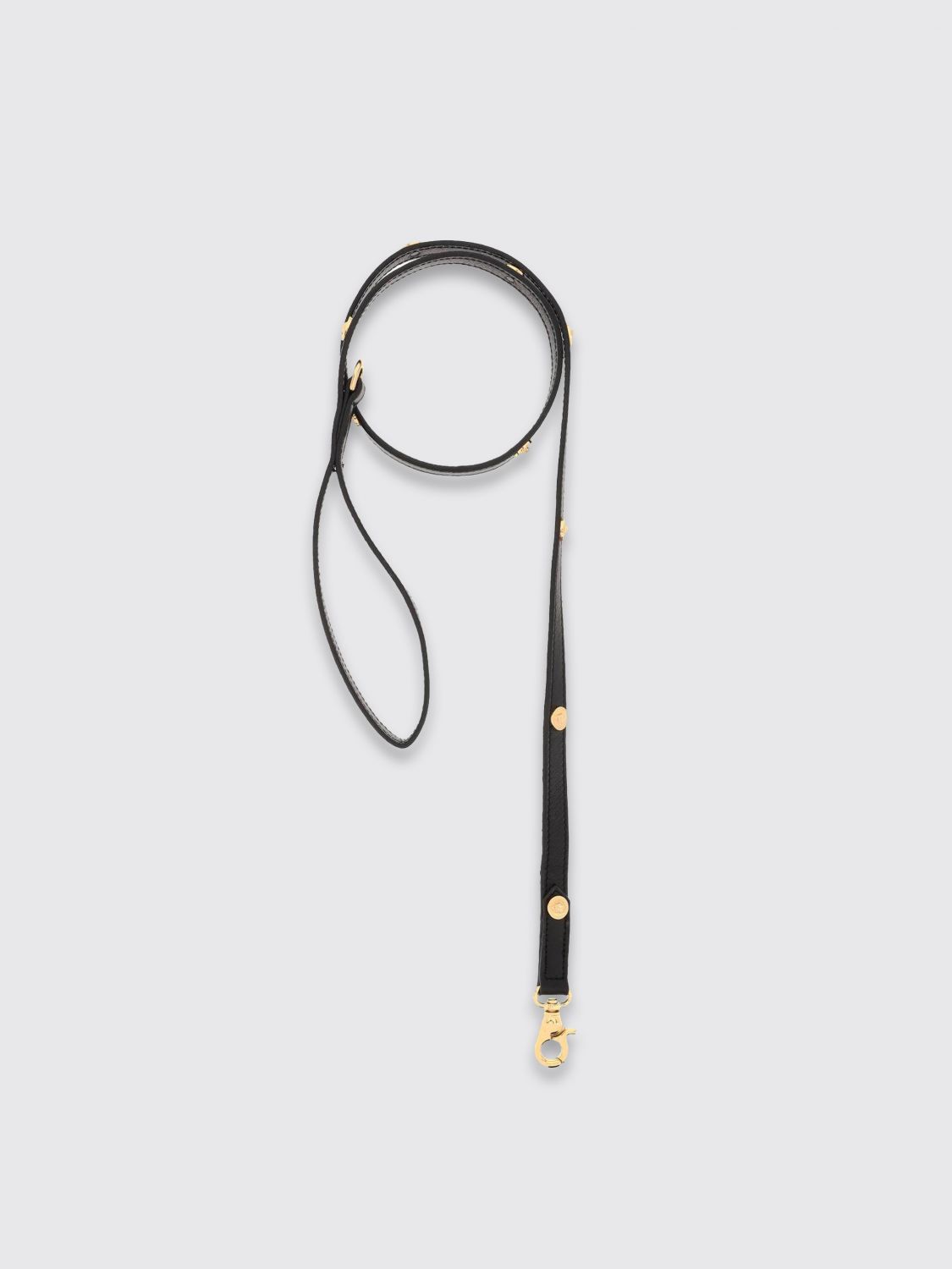 Versace Pet Accessories Lifestyle Black
