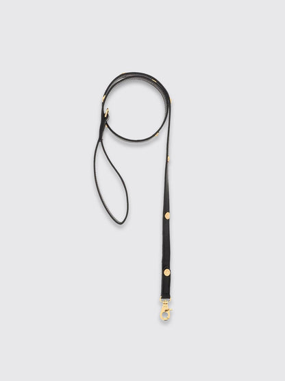 Versace Pet Accessories Lifestyle Black