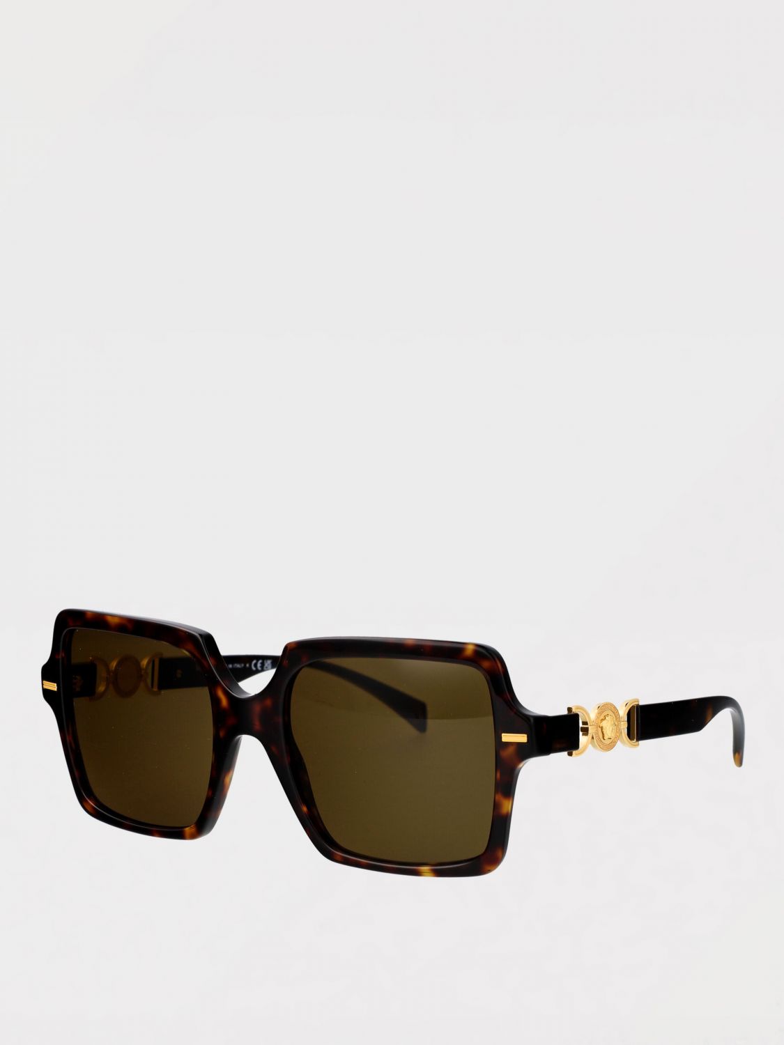 Versace Sunglasses Woman Brown
