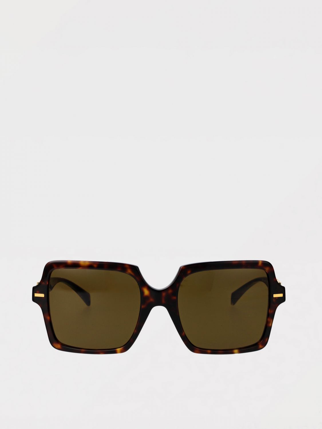 Versace Sunglasses Woman Brown