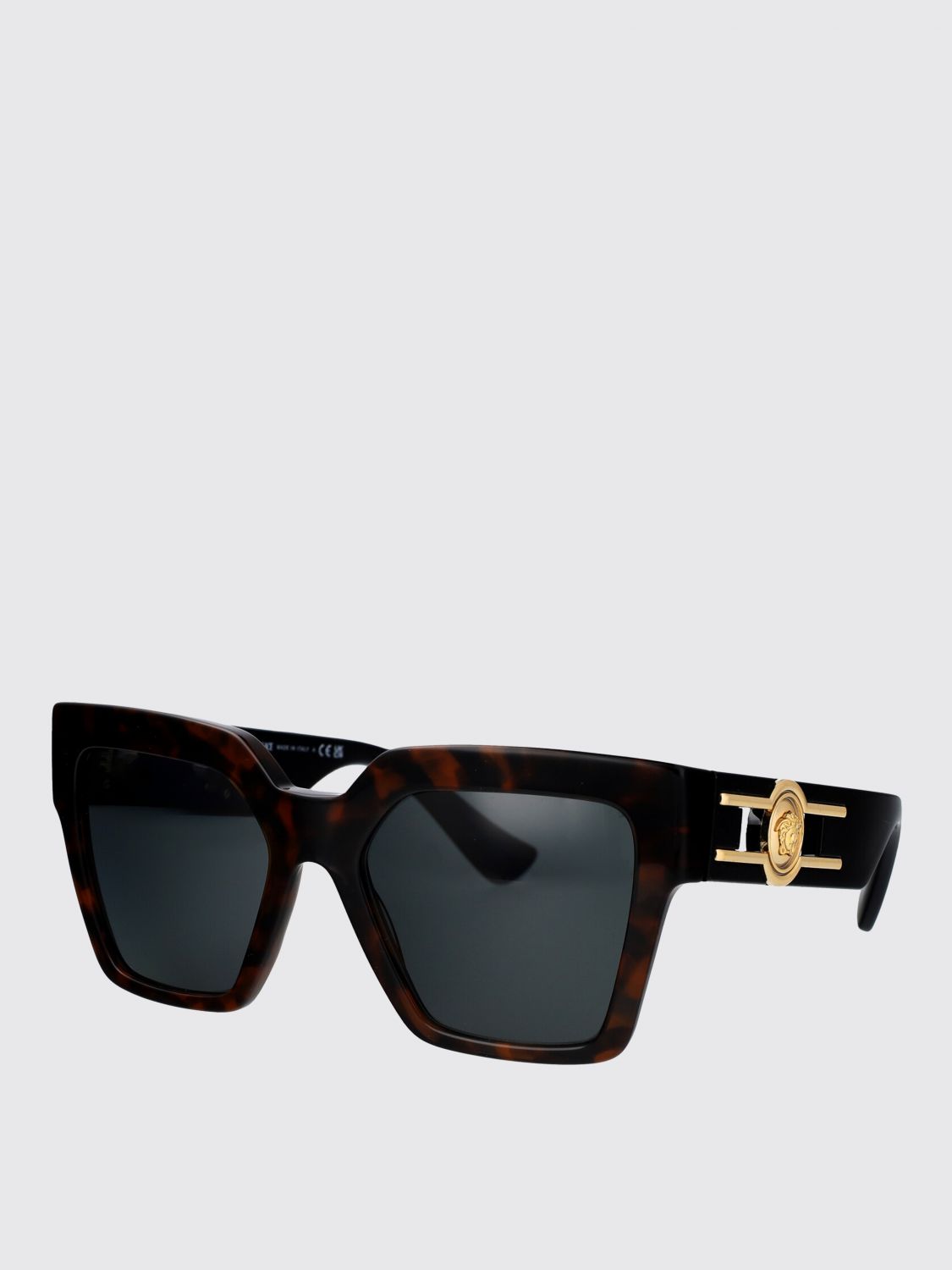 Versace Sunglasses Woman Brown